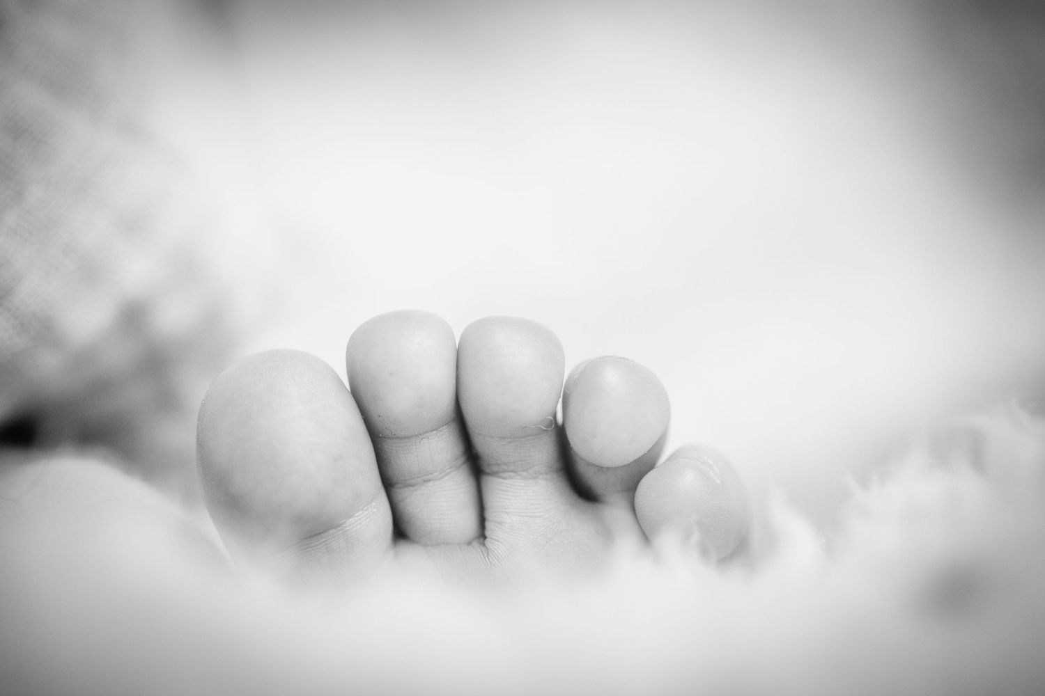 Close-up black and white photograph of tiny baby toes. Whitney McLaren Photography