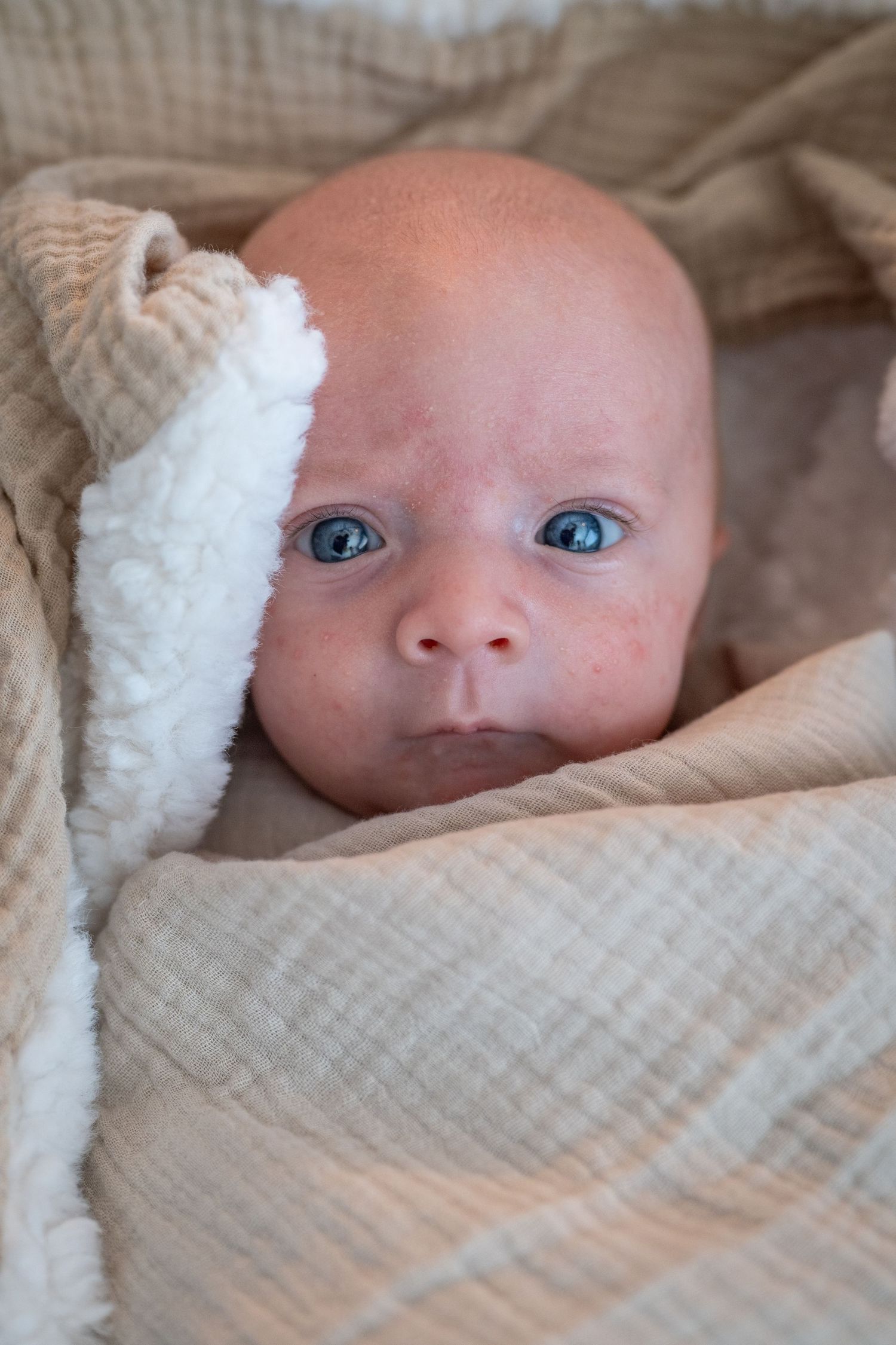 Newborn baby with blue eyes wrapped snugly in soft beige and white blankets, looking directly at the camera.