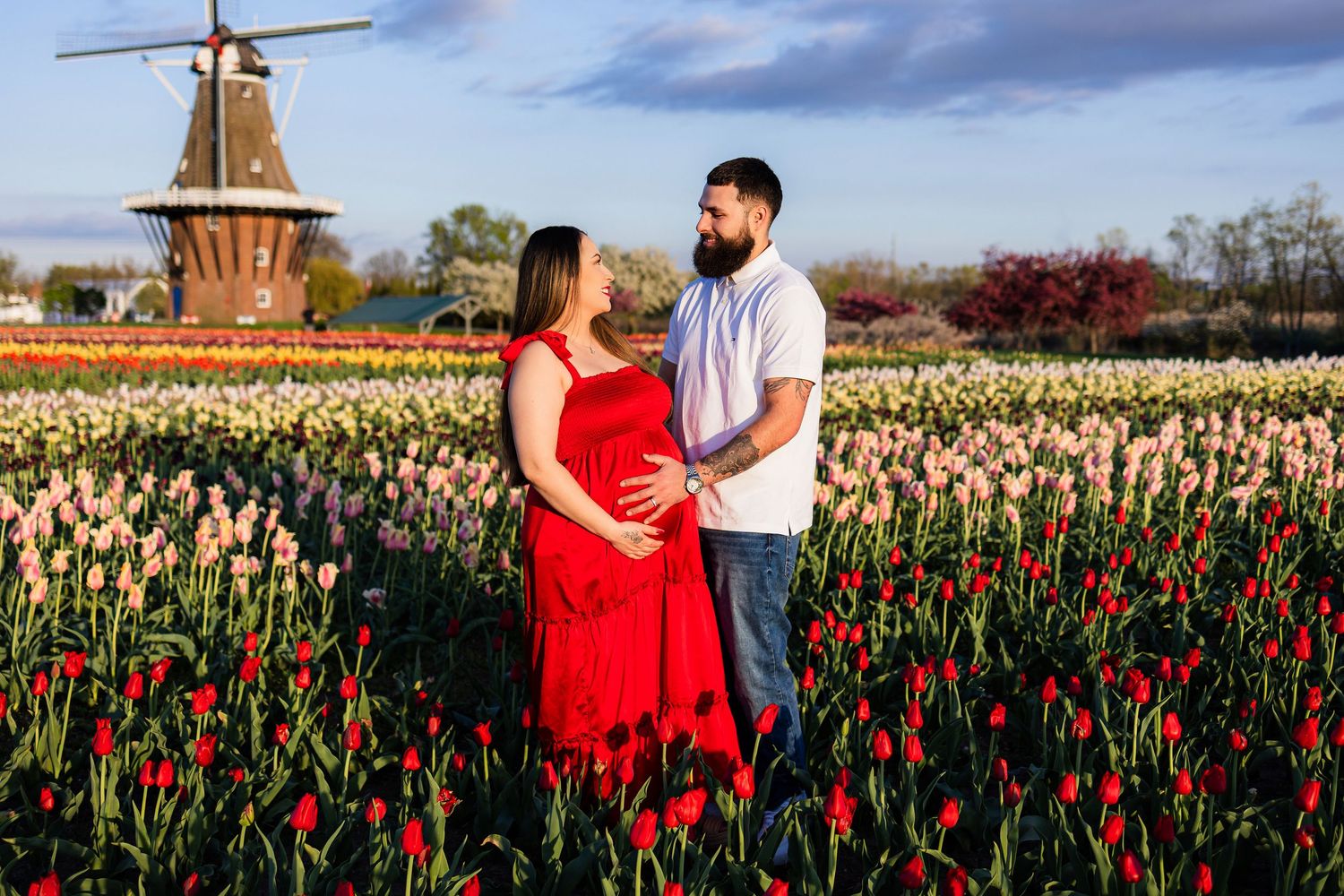 Pregnant couple embracing in vibrant tulip fields with a windmill backdrop during golden hour.