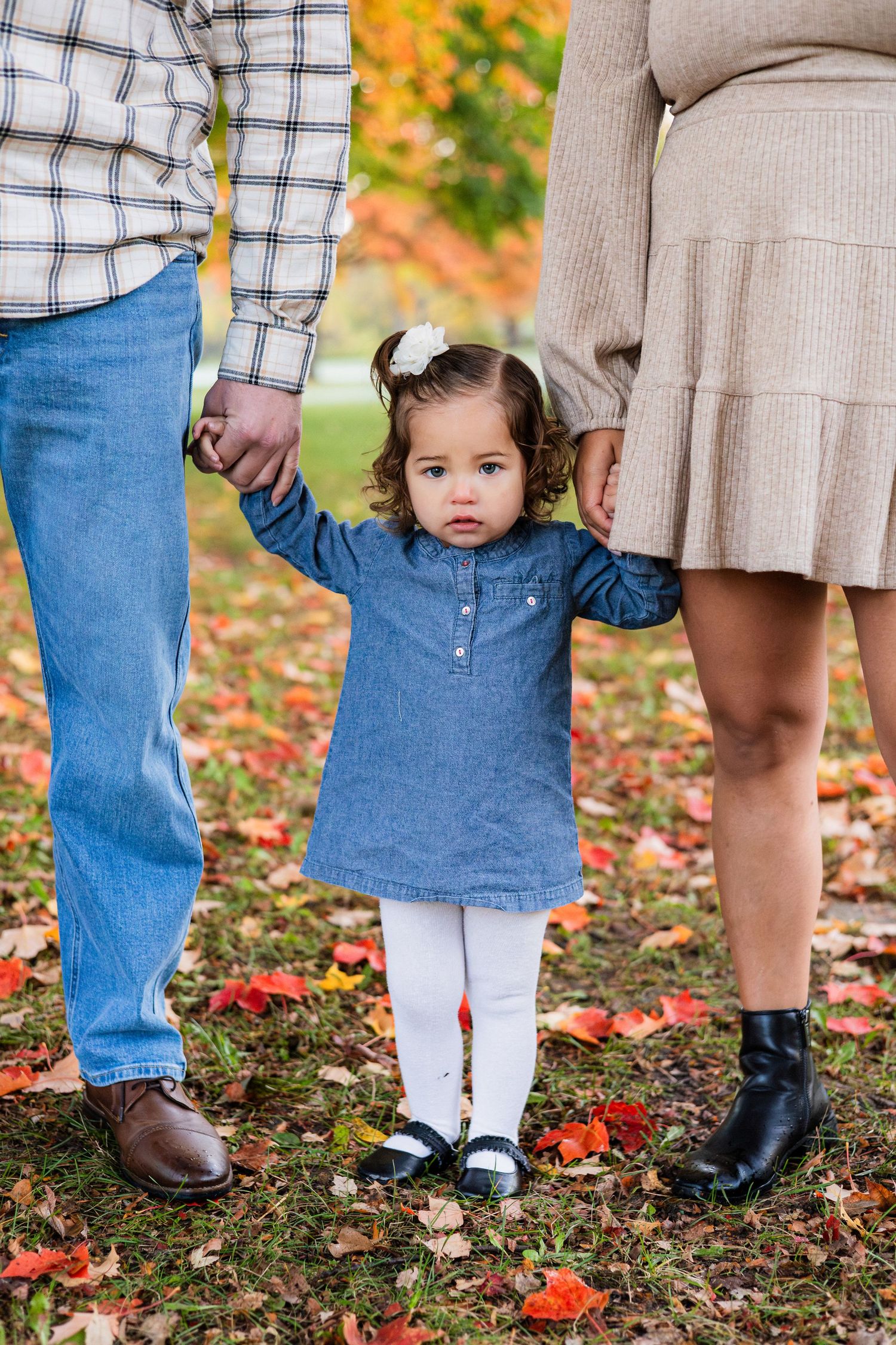 Toddler girl in denim dress holds parents hands outdoors among fall foliage red leaves during autumn family photo session.