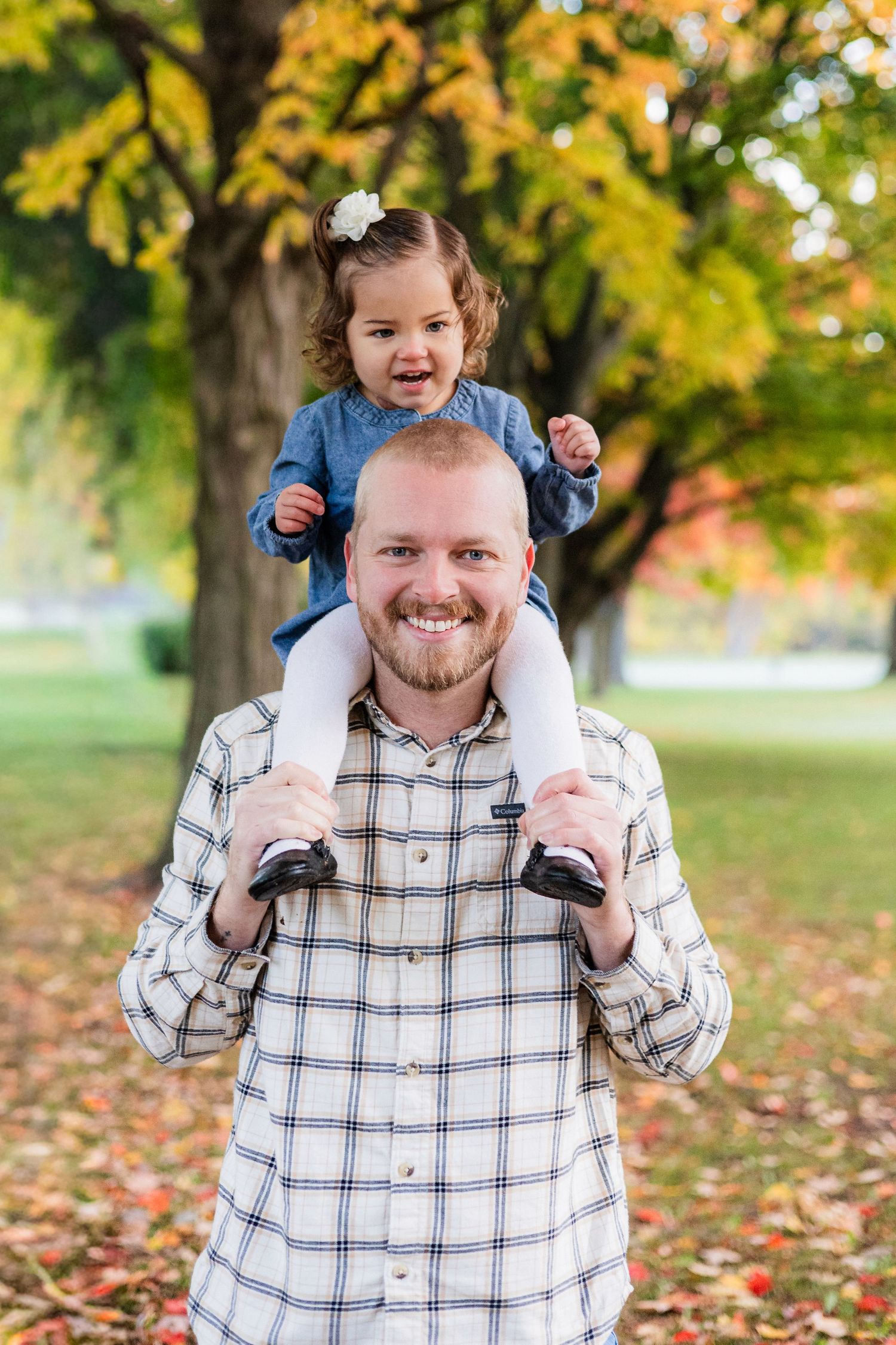Smiling bald father carries toddler girl on shoulders in autumn park with colorful fall foliage.