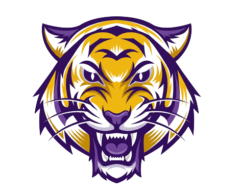 Fierce golden and purple tiger mascot logo with bared teeth, perfect for Benton High School Sports Logo In Benton Louisiana