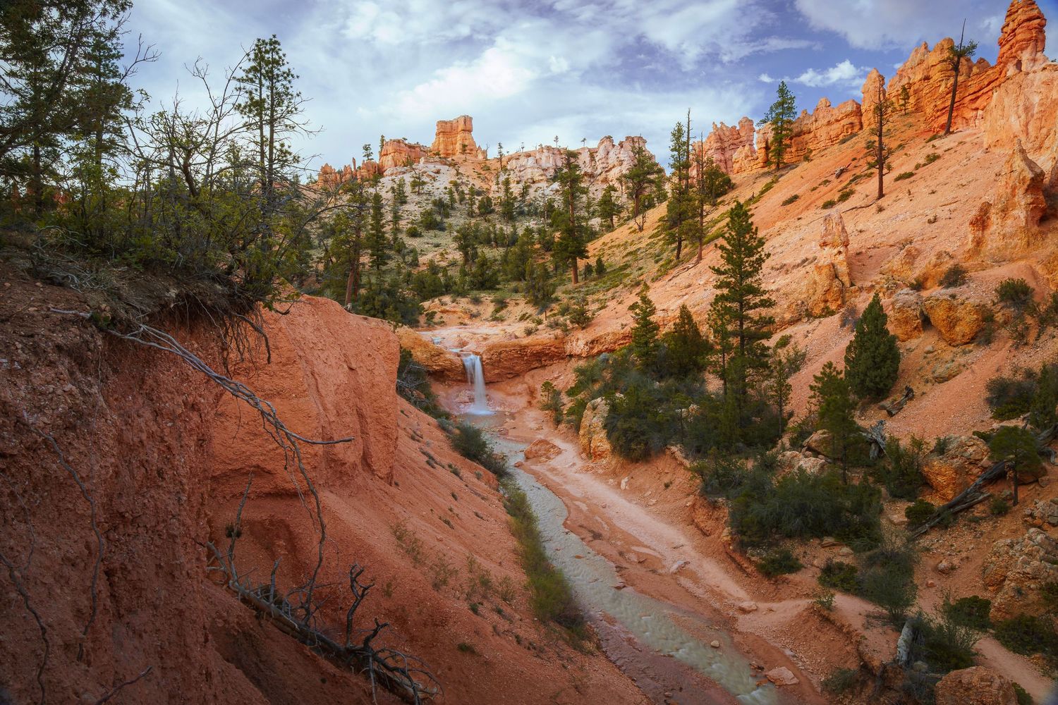 Red rock canyon with pine trees, a small waterfall, and winding stream under a blue sky in Bryce Canyon National Park.