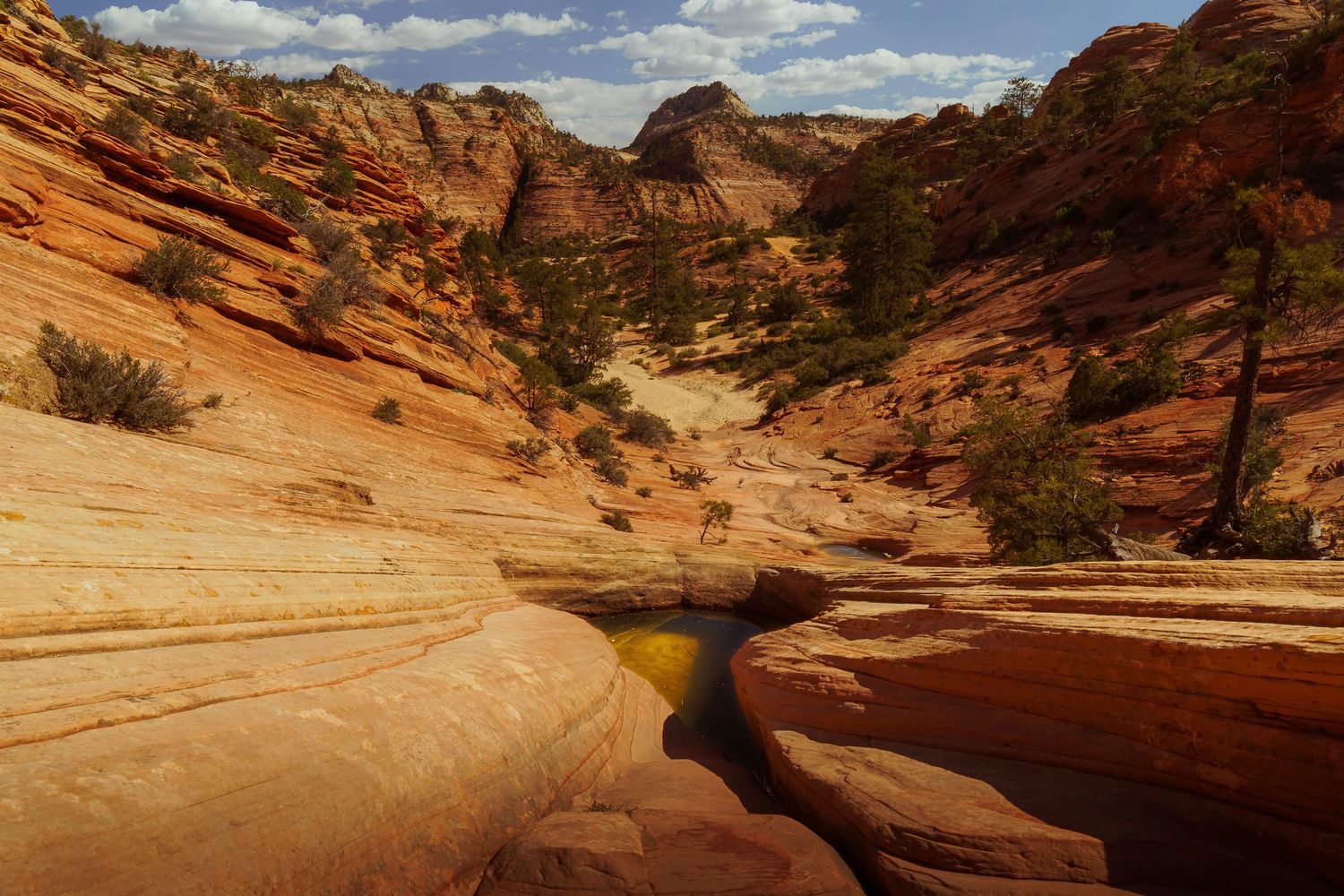 Stunning red rock canyon with natural pools, lush green trees, and layered sandstone formations under a blue sky.
