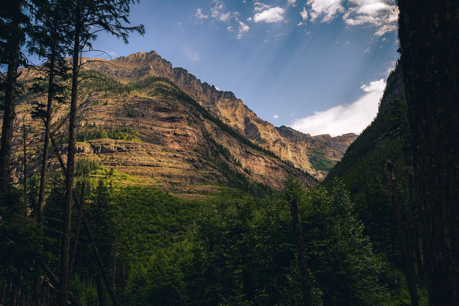 A scenic mountain landscape with dramatic peaks and evergreen trees silhouetted against a cloudy blue sky.