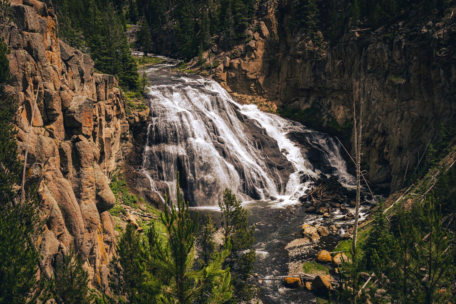 Scenic waterfall cascades down rocky cliffs surrounded by evergreen forest in Yellowstone National Park.