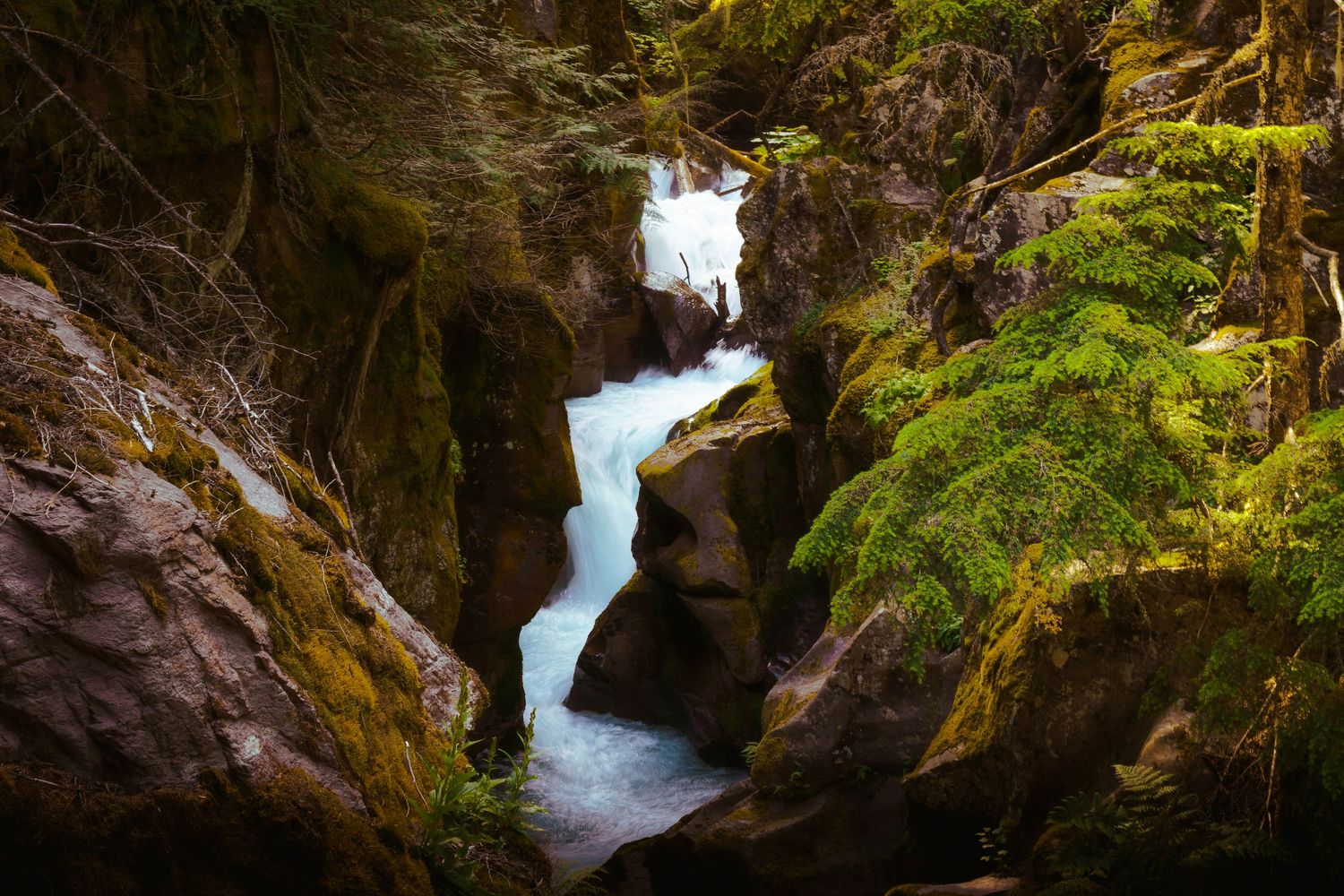 Cascading waterfall flows through mossy rock formations in a lush green forest setting.
