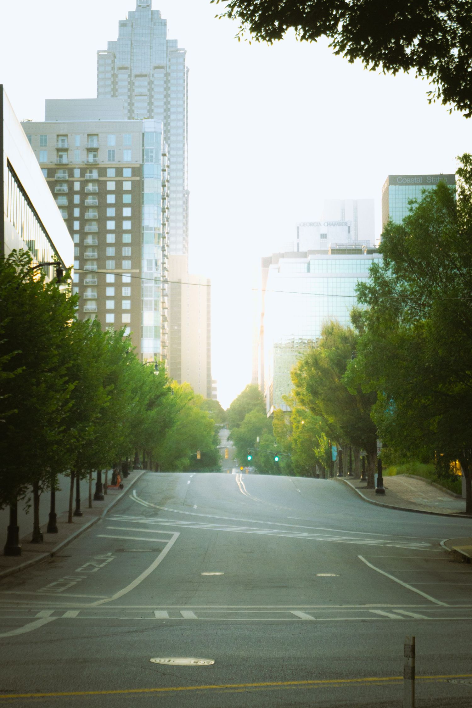 Foggy urban street scene with tall buildings and trees lining the empty road during early morning light.