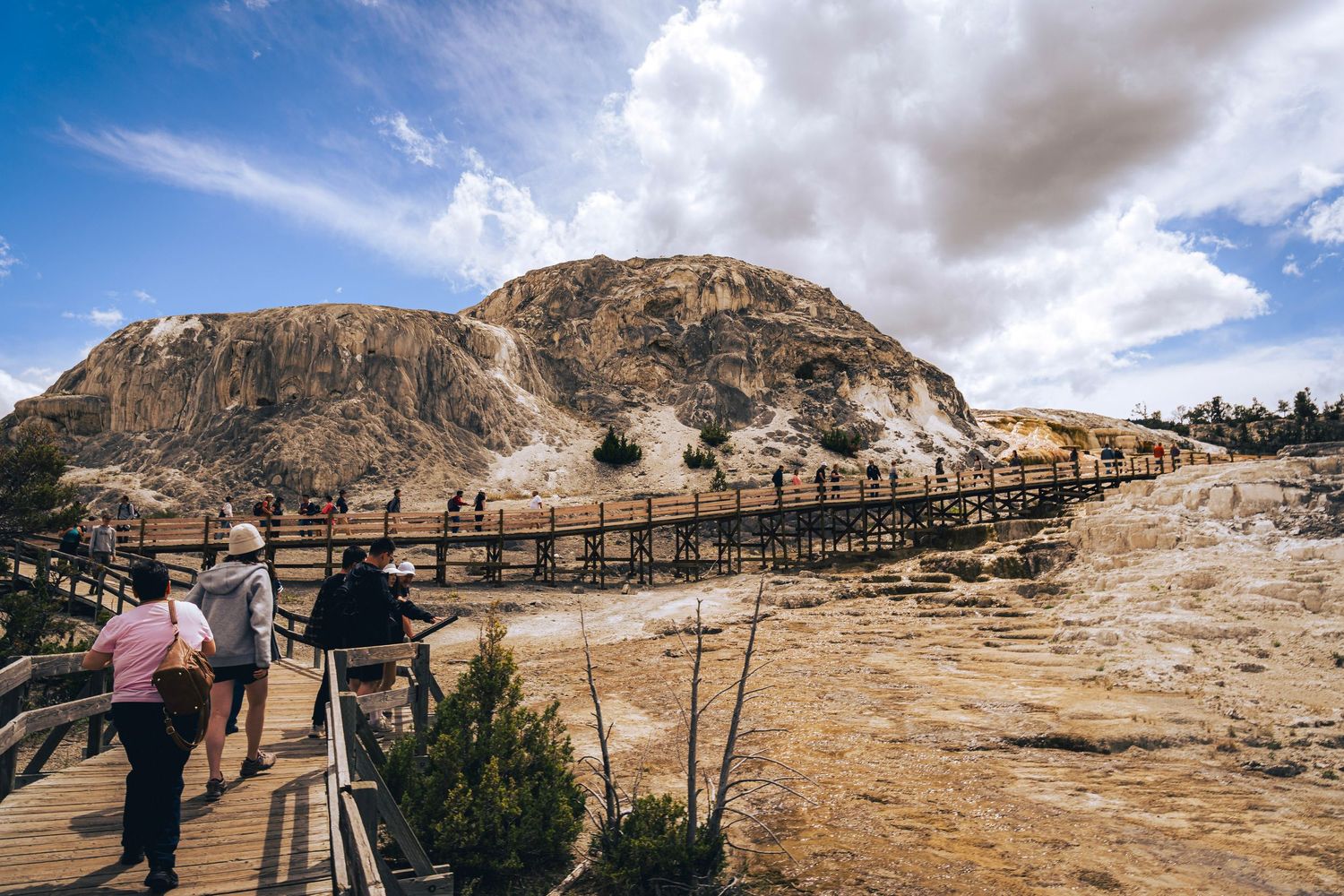 Tourists walk along wooden boardwalk overlooking Mammoth Hot Springs terraces in Yellowstone National Park.