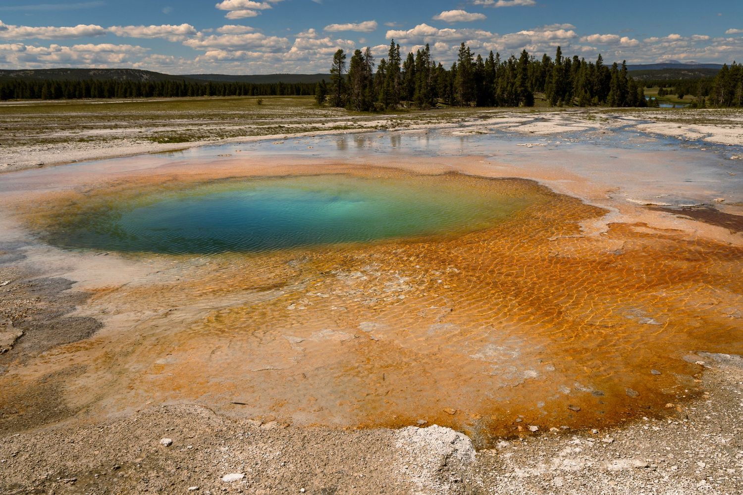 A panoramic view of Yellowstone's colorful geothermal hot springs and pools under a bright blue sky with white clouds.