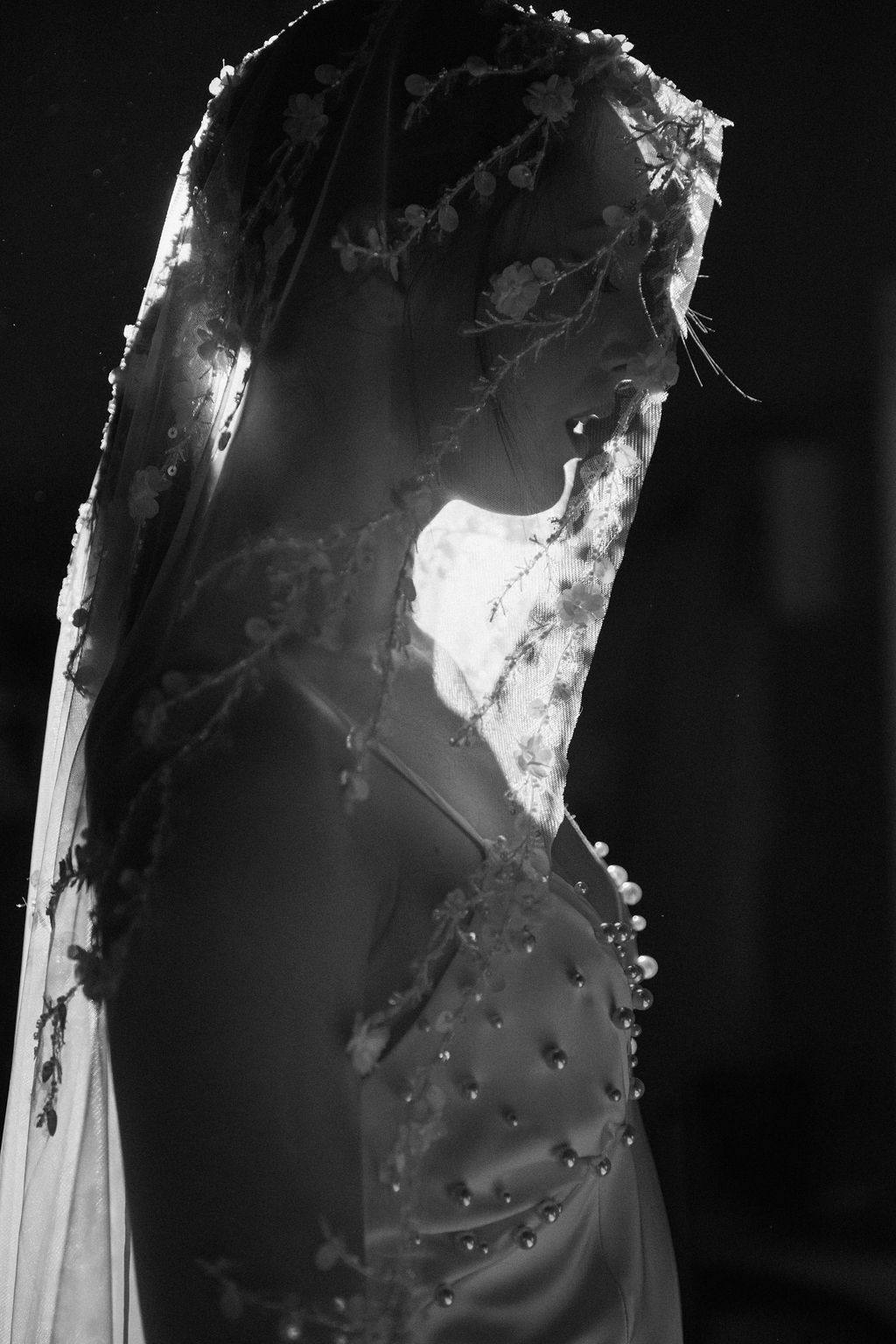 Black and white silhouette of a bride in a floral veil and beaded wedding gown, backlit dramatically.