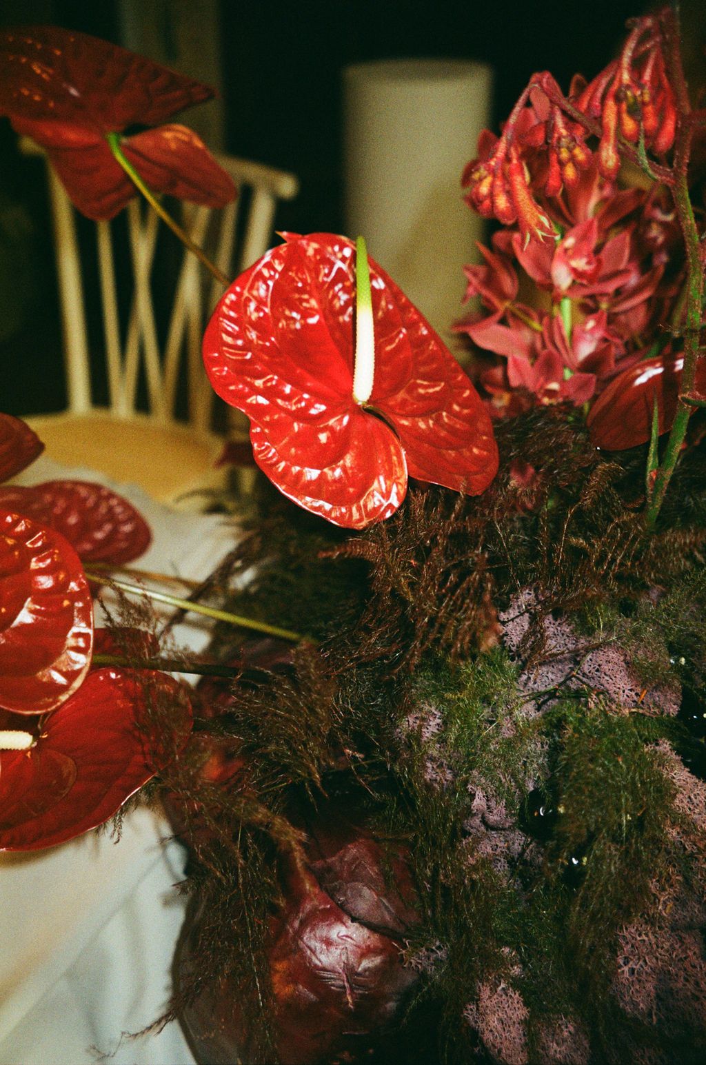 Red anthurium flowers with white spadix in a lush floral arrangement with dark foliage and moss centerpiece.