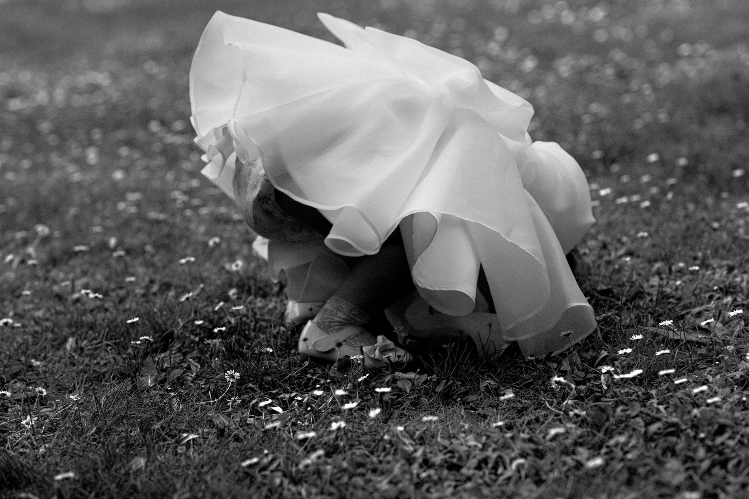 A delicate white rose petal lies on a dark textured surface in black and white.