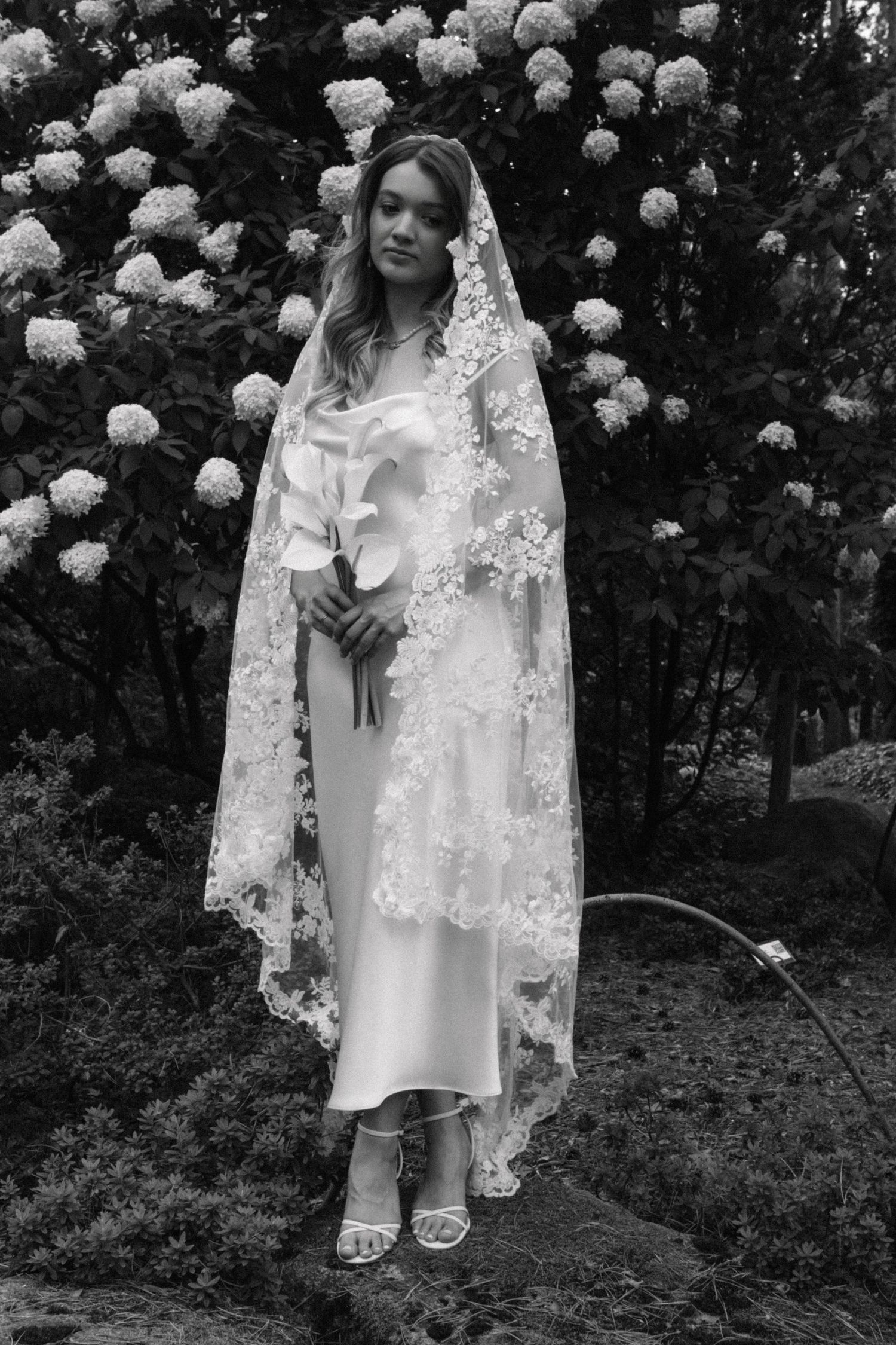 Black and white portrait of a bride in a satin slip dress and lace-trimmed veil holding calla lilies before blooming hydrangeas.