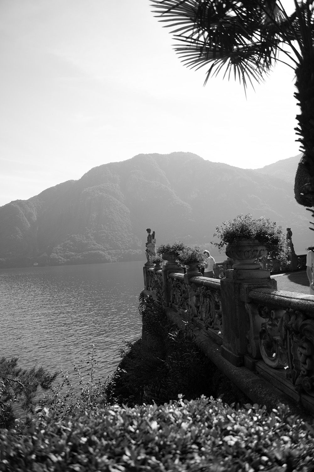 Scenic black and white lakeside view with mountains, palm fronds, and stone walls overlooking a serene waterfront landscape.