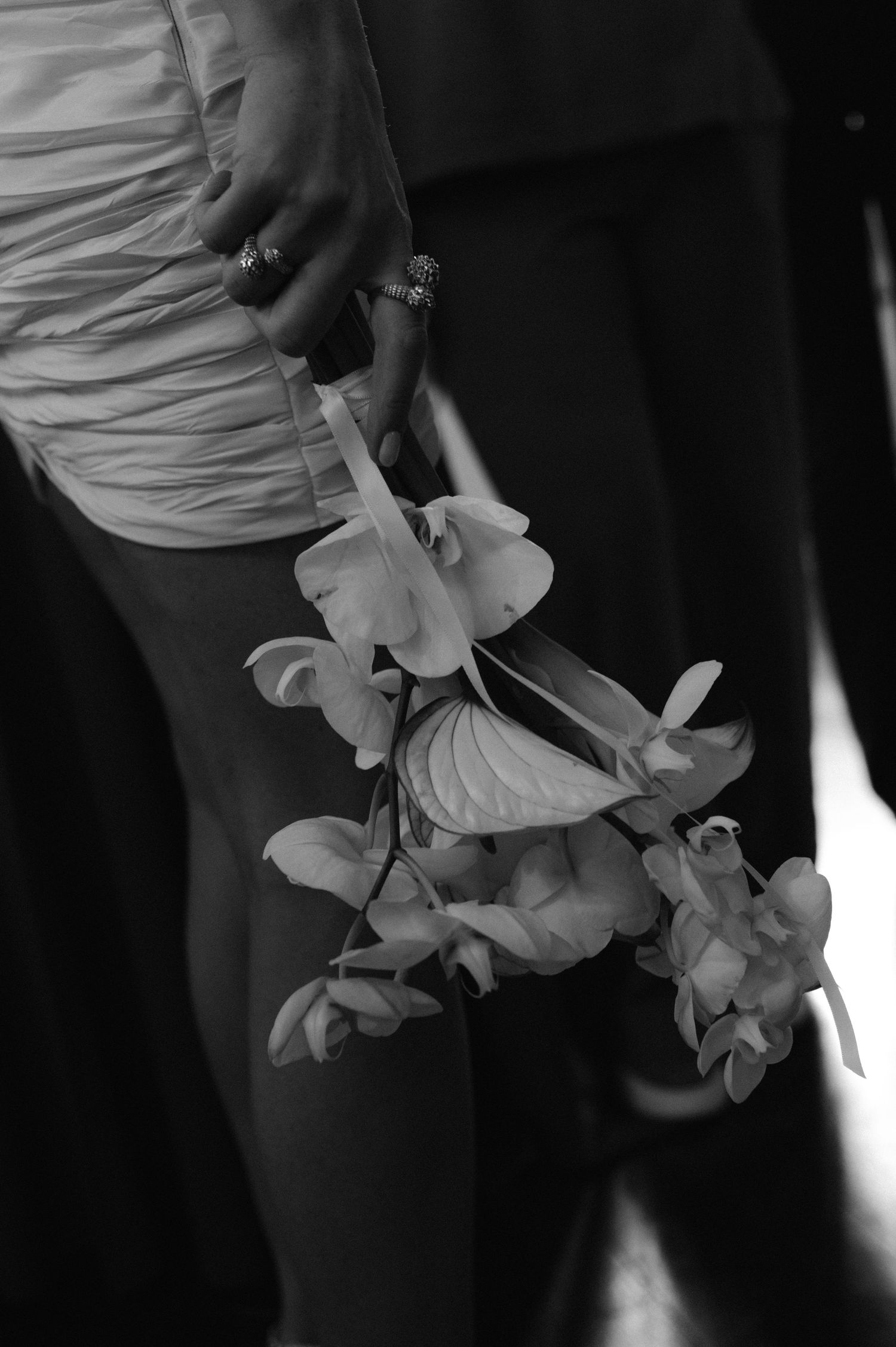 Black and white close-up of a hand holding an elegant orchid stem with delicate white blooms.