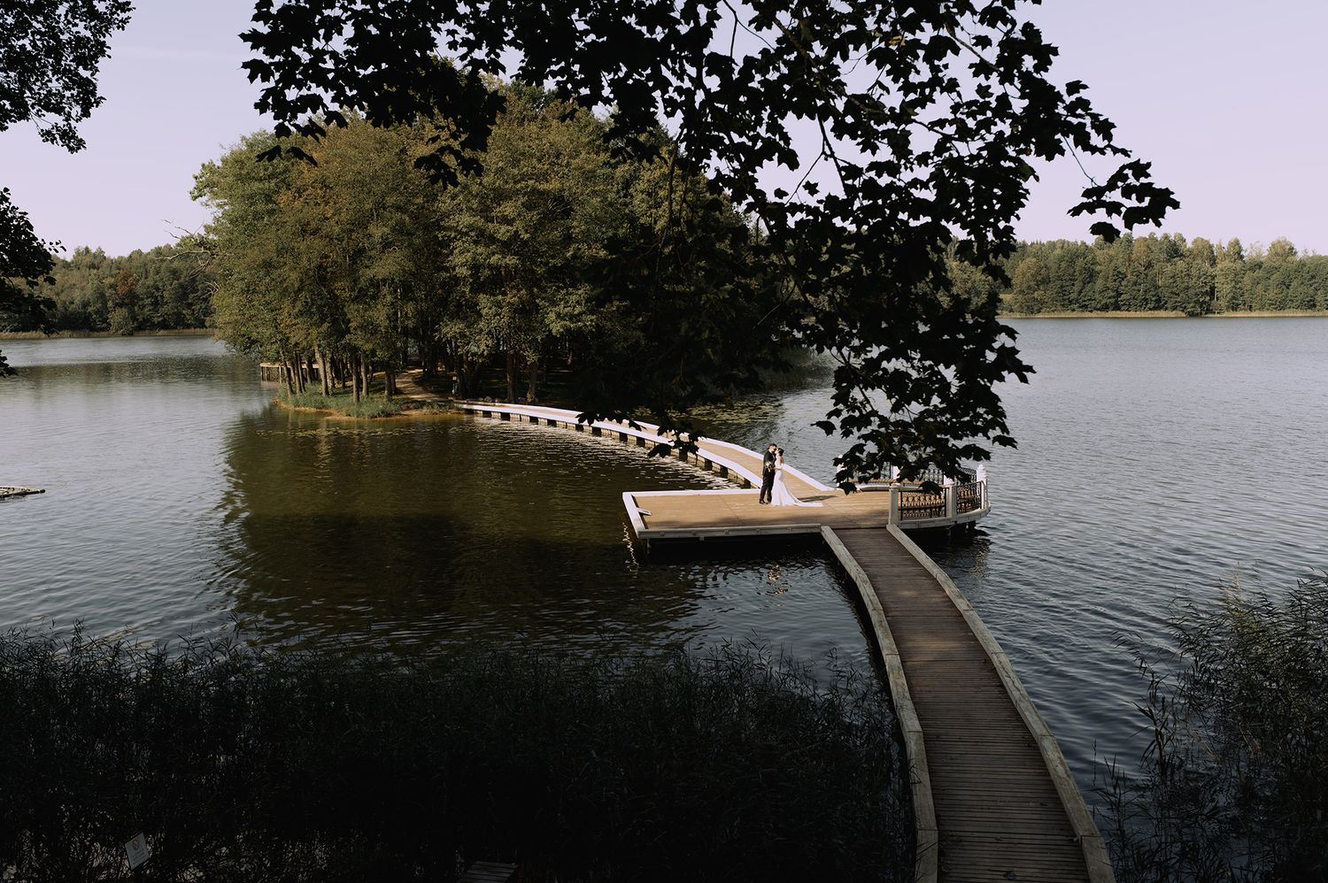 A wooden dock extends into a tranquil lake surrounded by lush trees and greenery on a calm day.