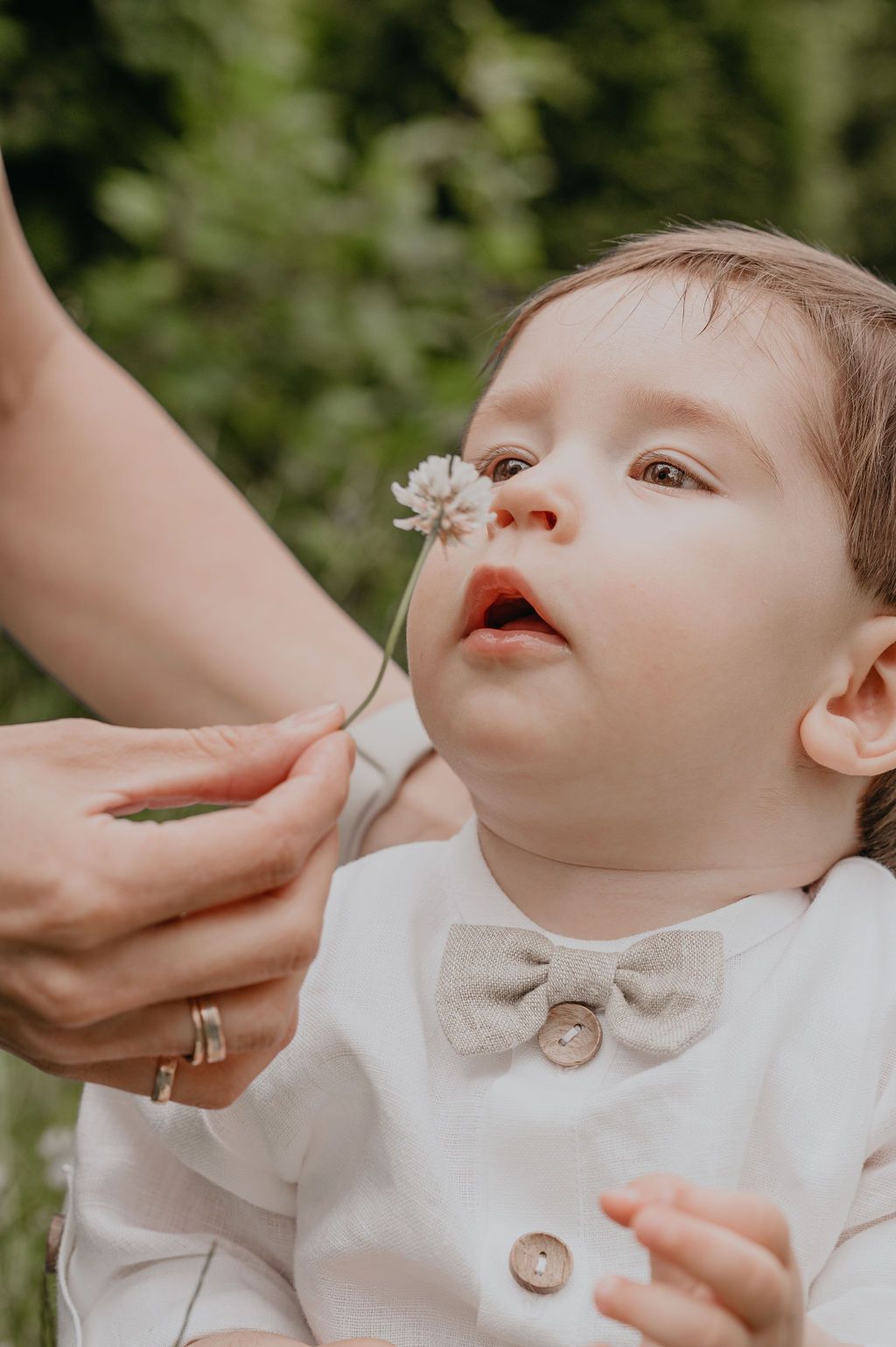 A baby in a white outfit with a bow tie looks curiously at a small white flower held by an adult hand.