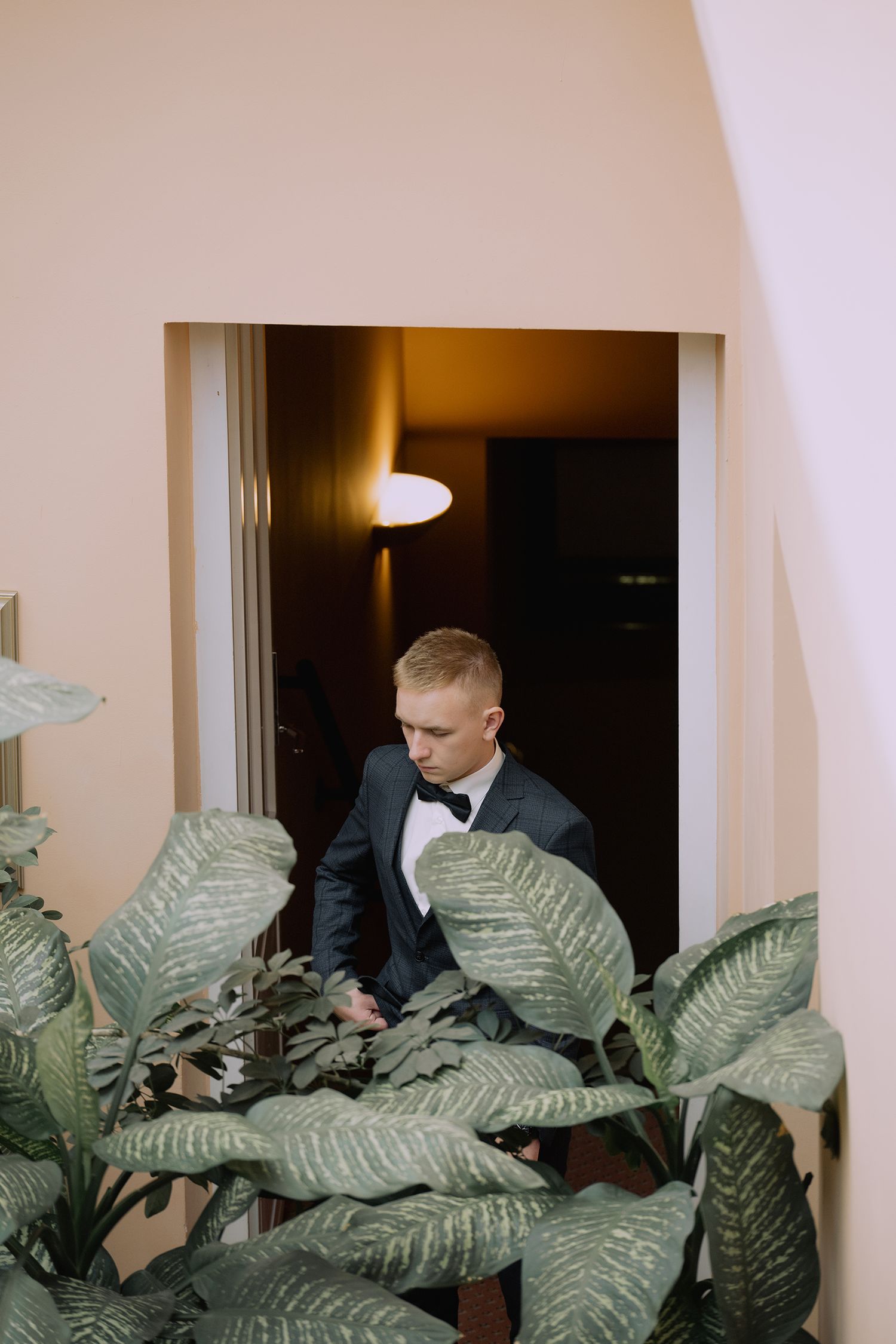 A person in a black tuxedo and bowtie sits behind large tropical leaves in an elegant interior setting.