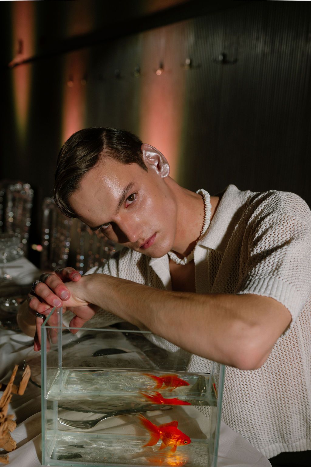 Young man in a white knit shirt rests his arms on a glass tank holding orange goldfish at an elegantly lit dinner table.