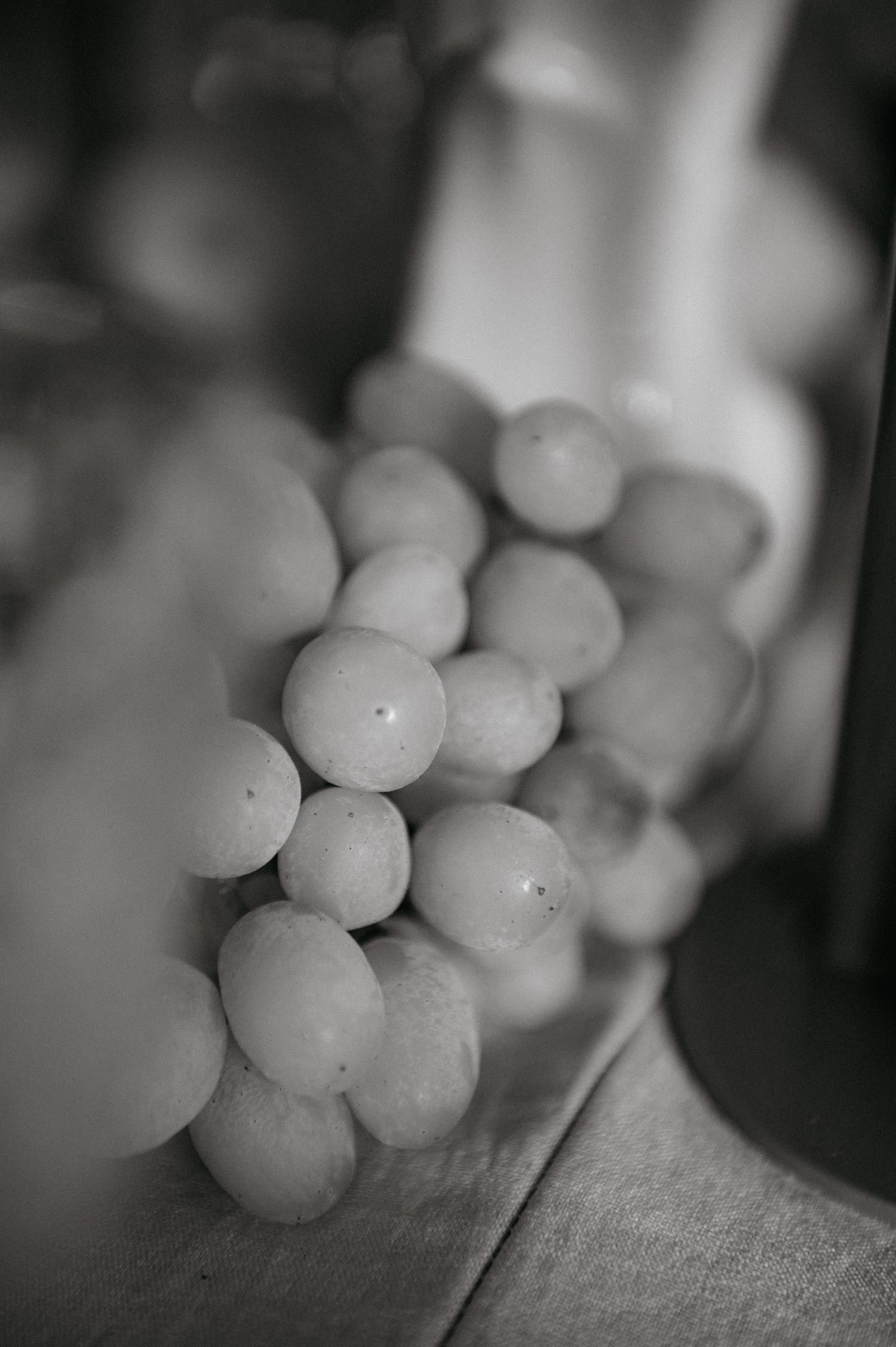 A black and white macro photograph shows a cluster of round grapes with soft focus and shallow depth of field.