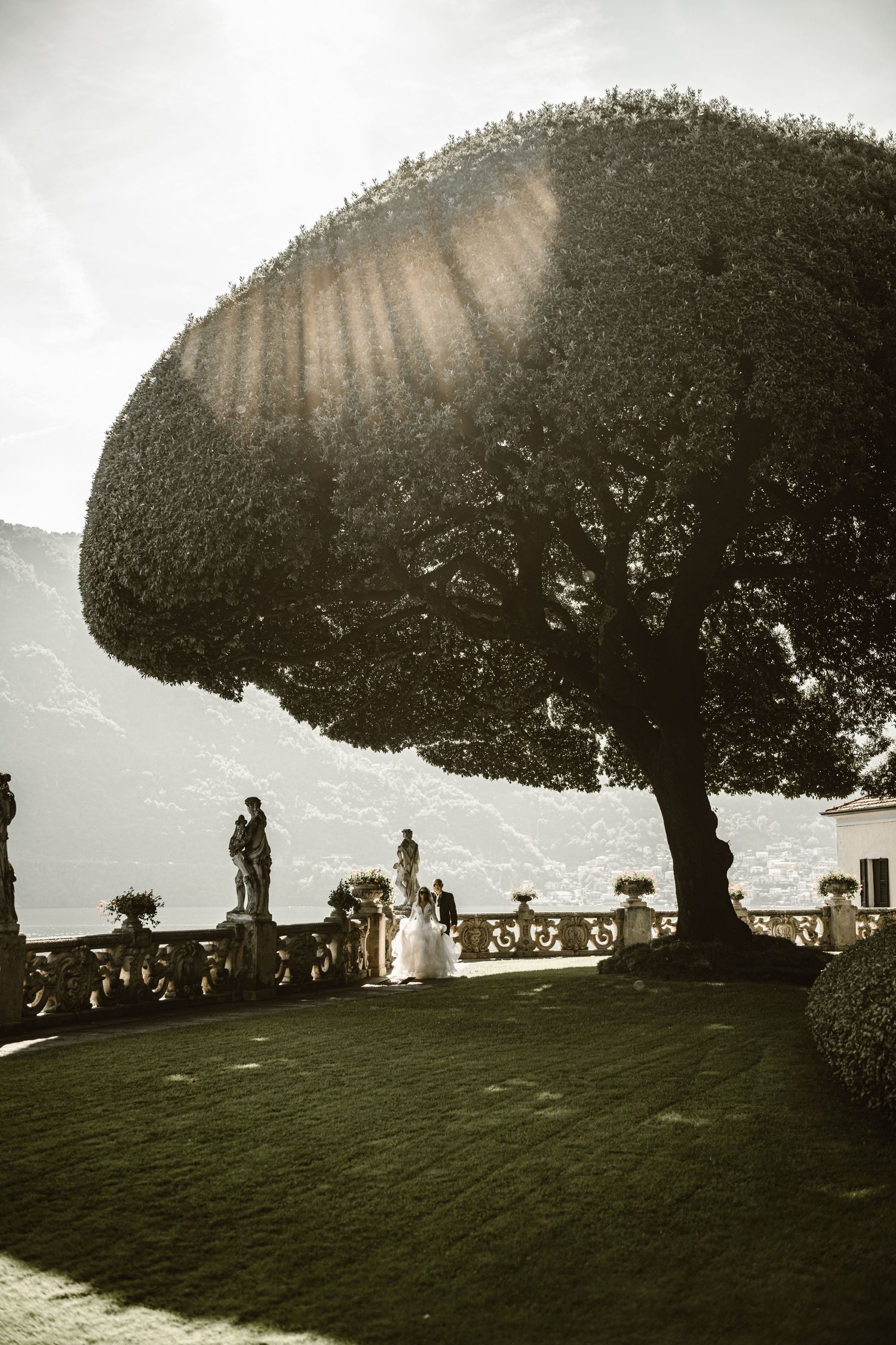 Wedding ceremony under a large manicured tree on a sunlit terrace overlooking a mountain lake.