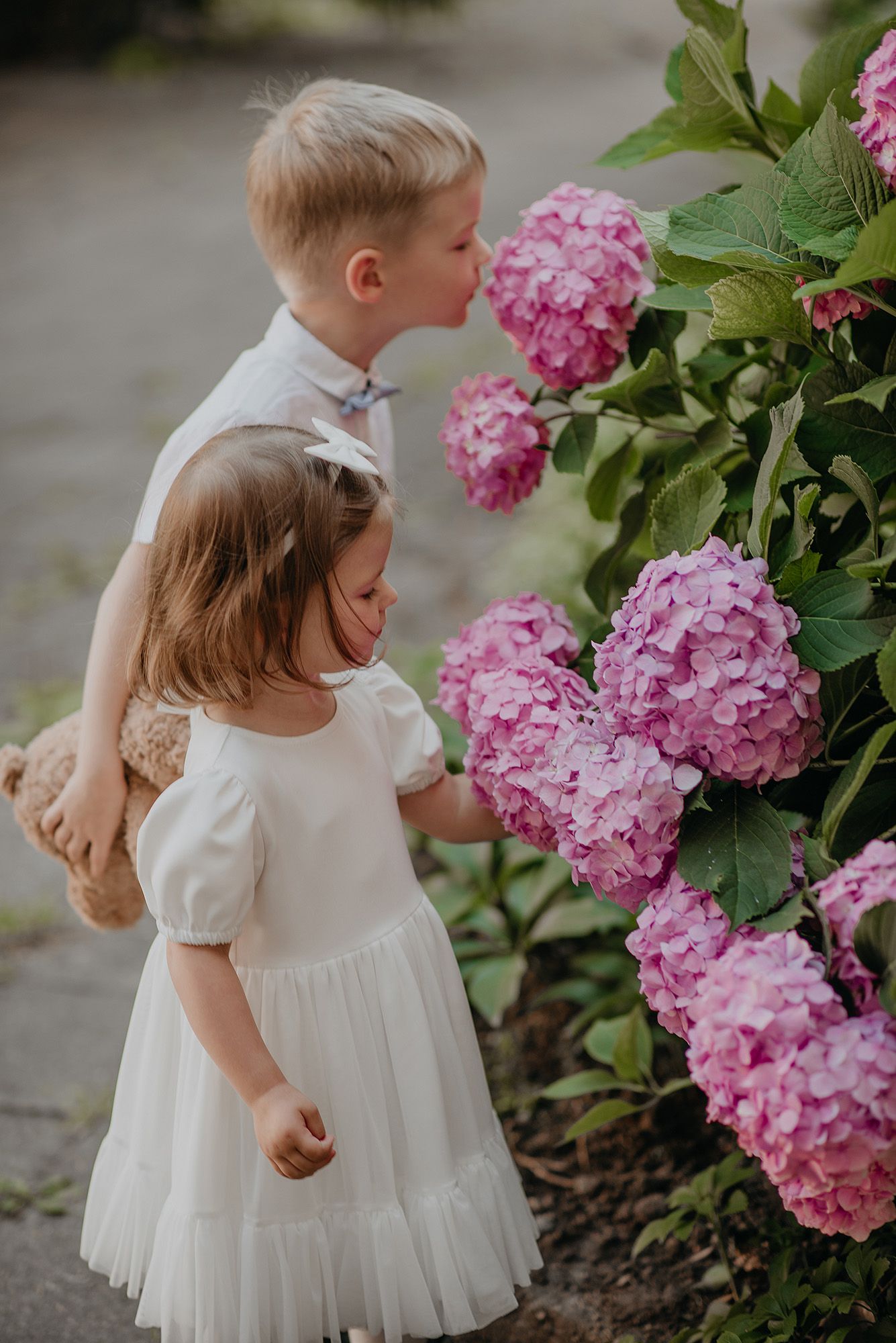 A small child in a white dress explores a blooming pink hydrangea bush in a garden setting.