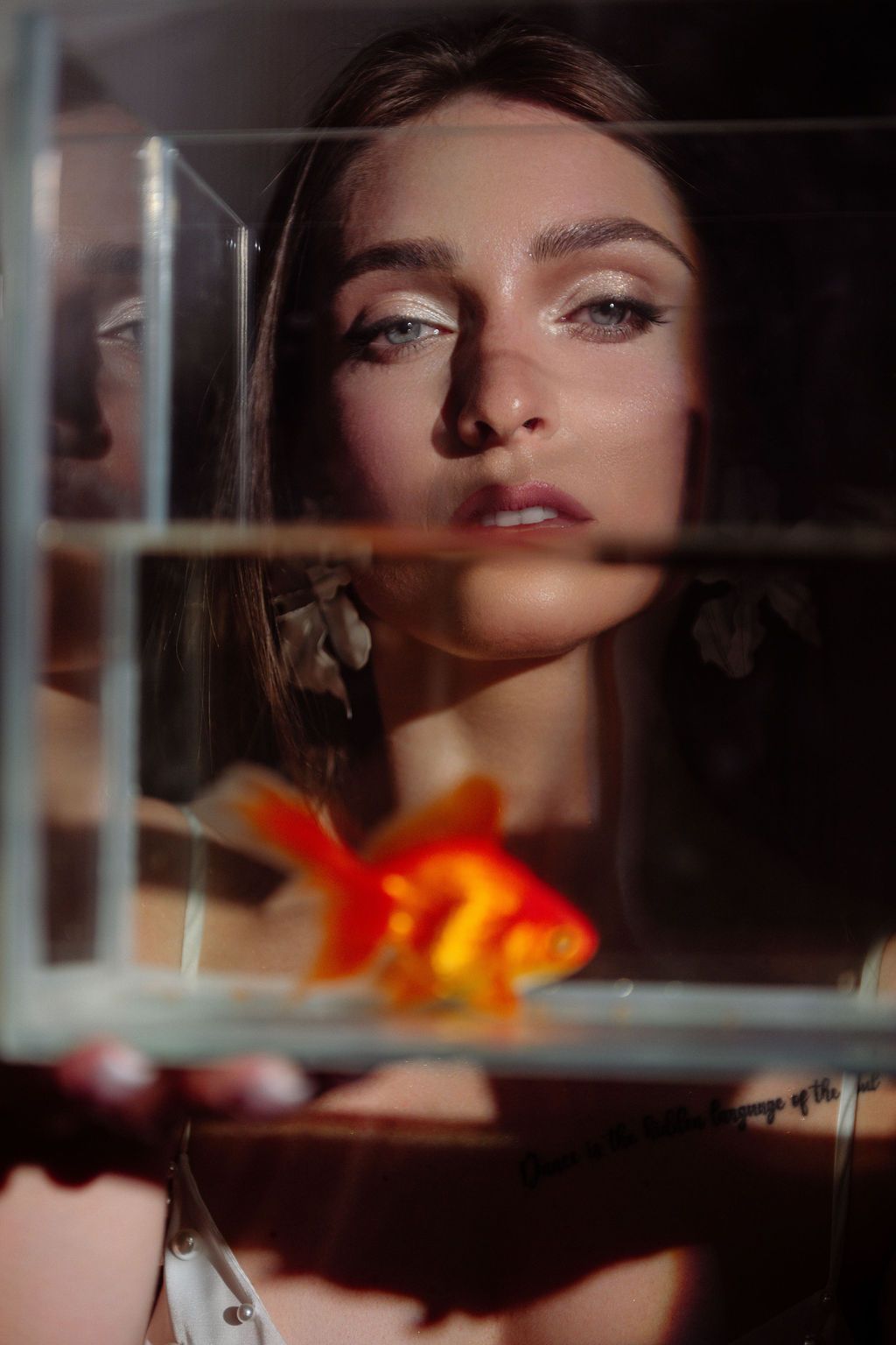 Young woman with long brown hair gazes through a glass tank at a bright orange goldfish, in moody golden light.