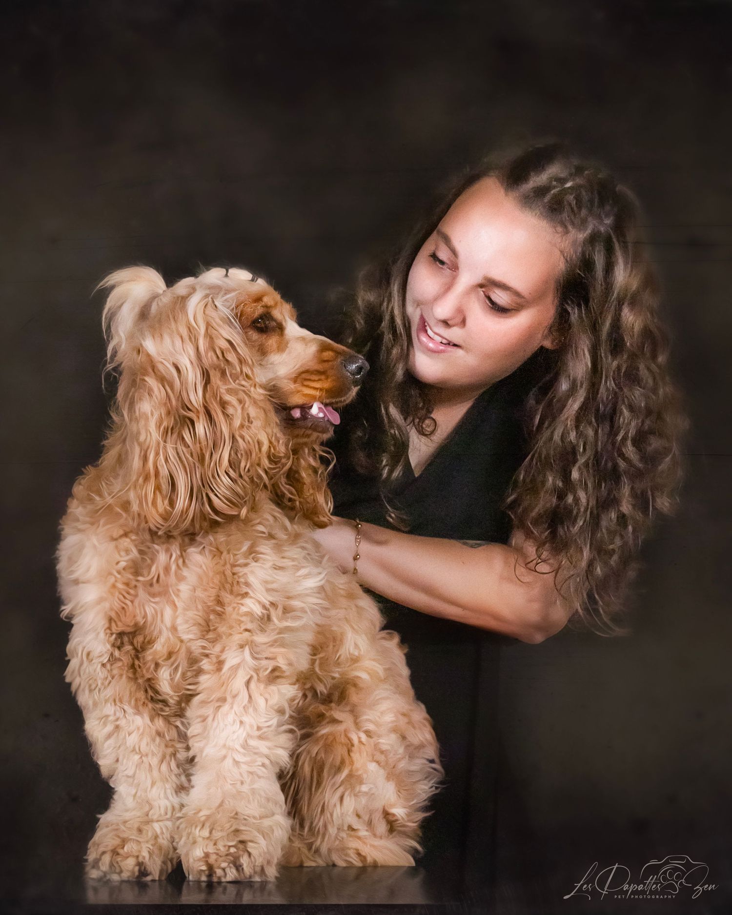 “Portrait de chien cocker complice avec sa maman en studio – photographe animalier Belgique”
