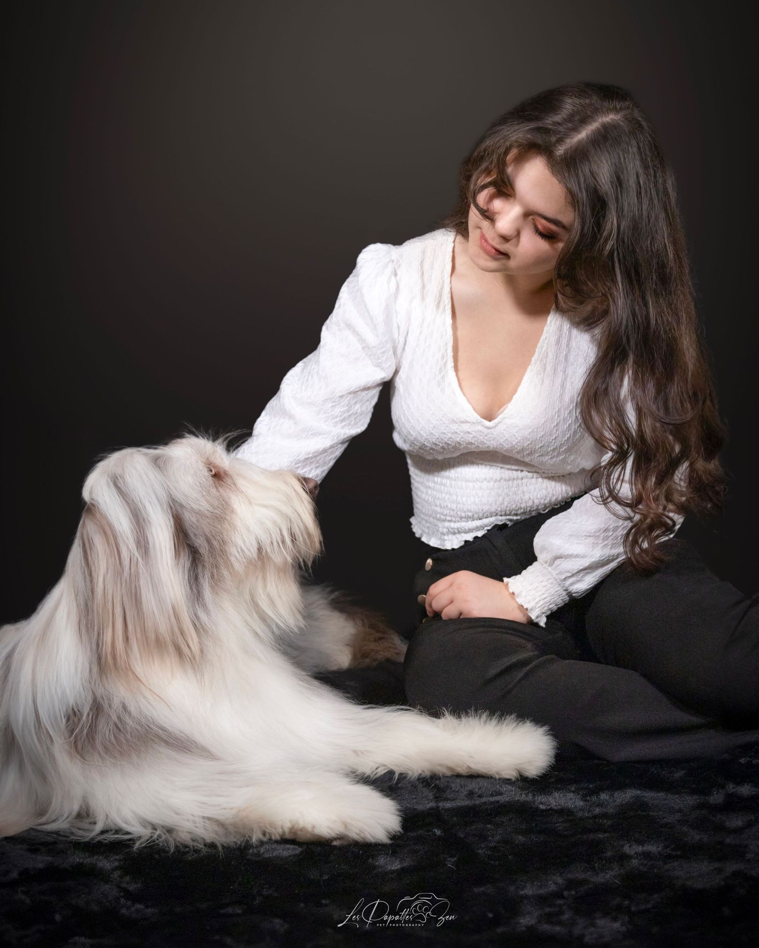 “Portrait de chien en studio – photographe animalier Belgique”
