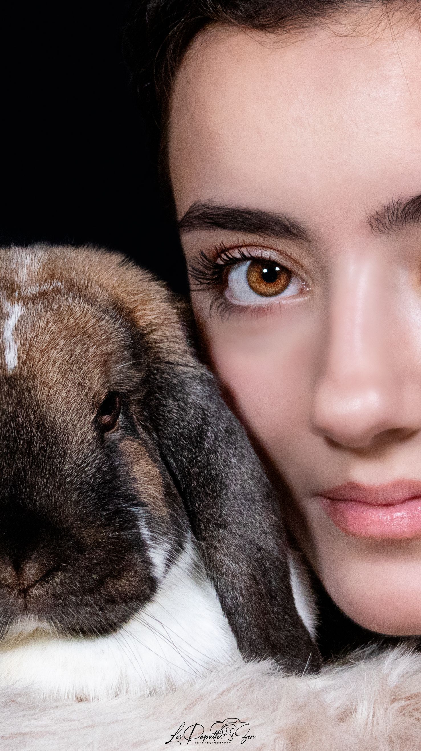 “Portrait de lapin en studio oeil contre oeil– photographe animalier Belgique”