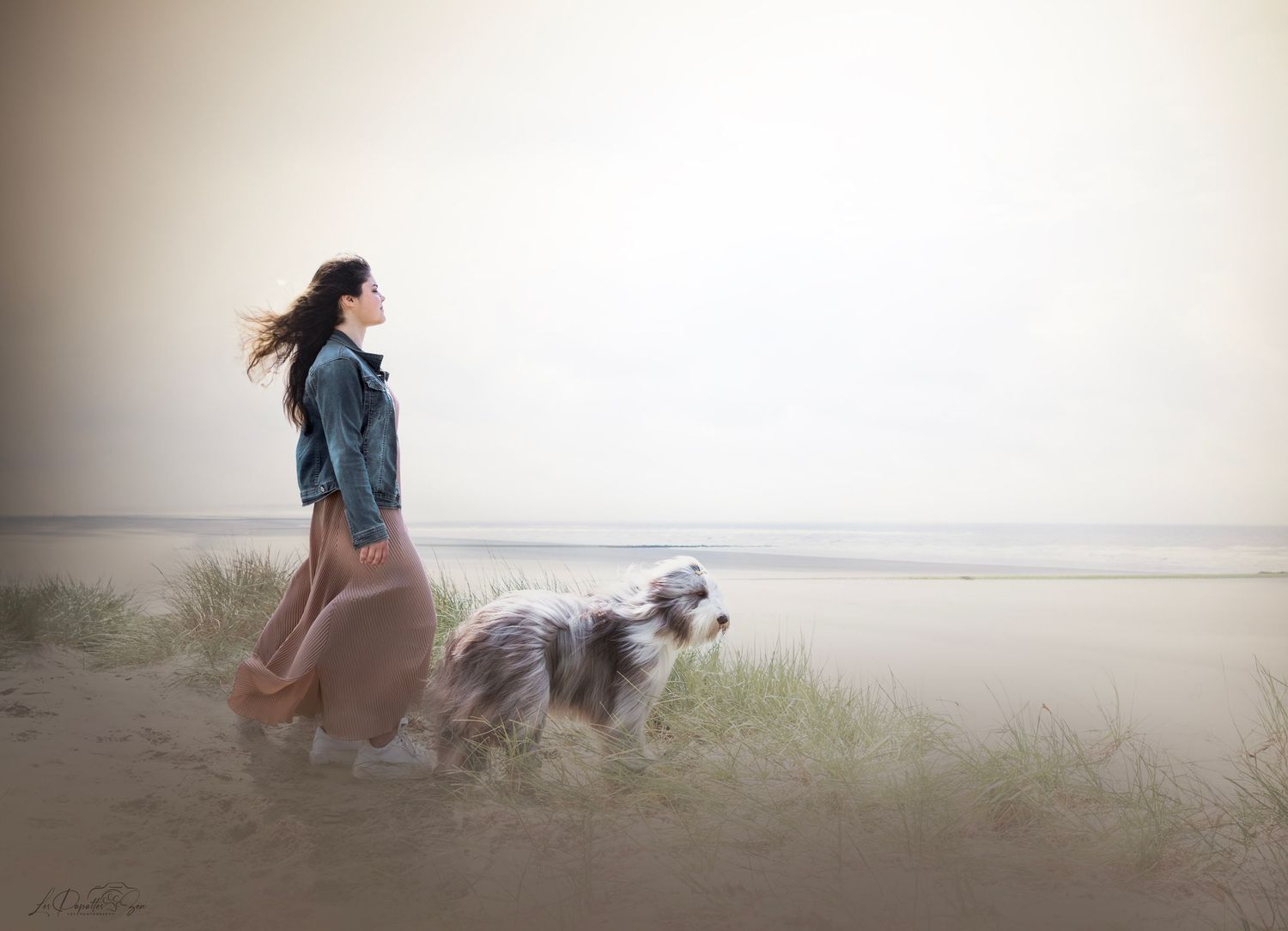 “Séance photo extérieure avec chien – côte belge”