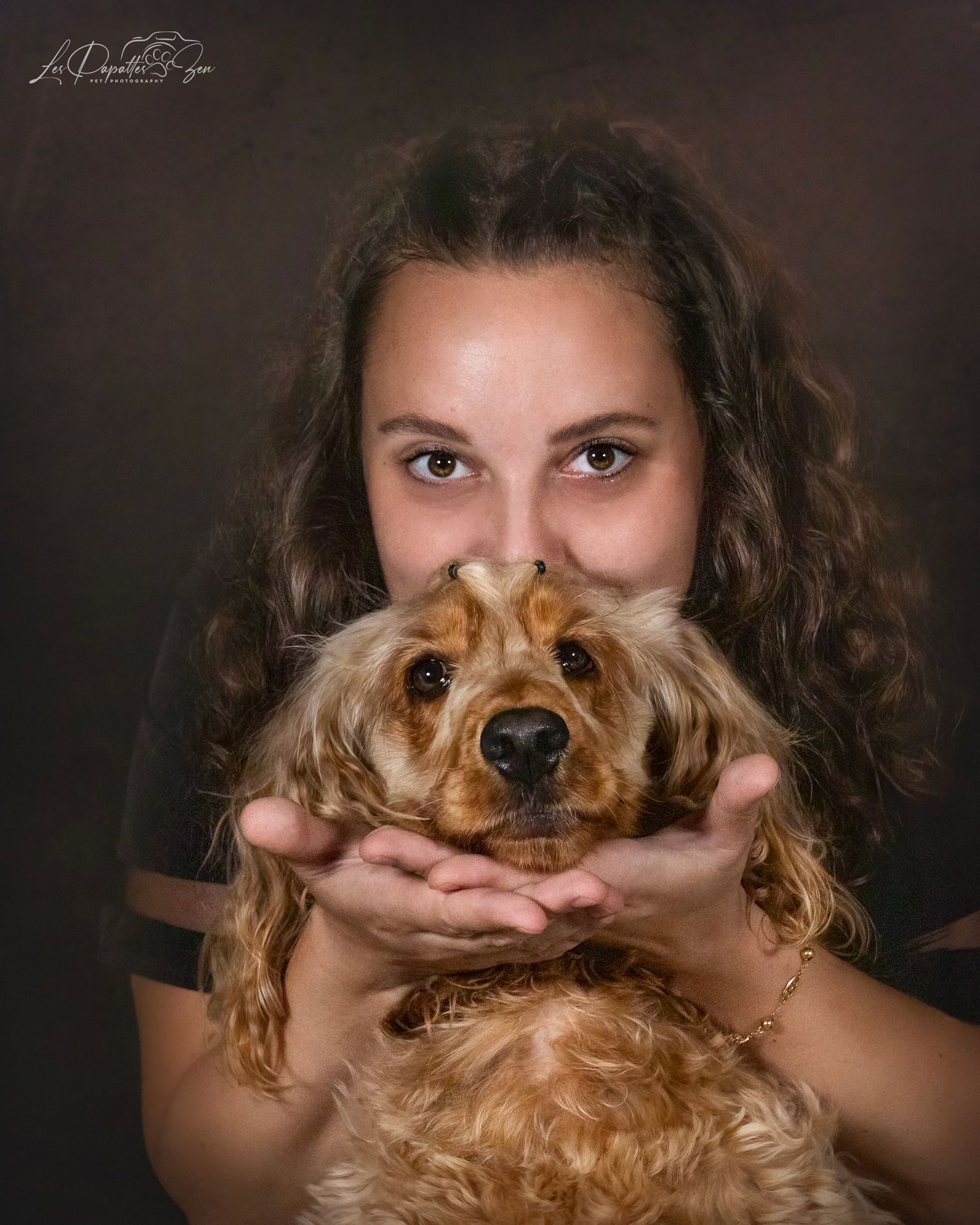 “Portrait de chien cocker en studio – photographe animalier Belgique”