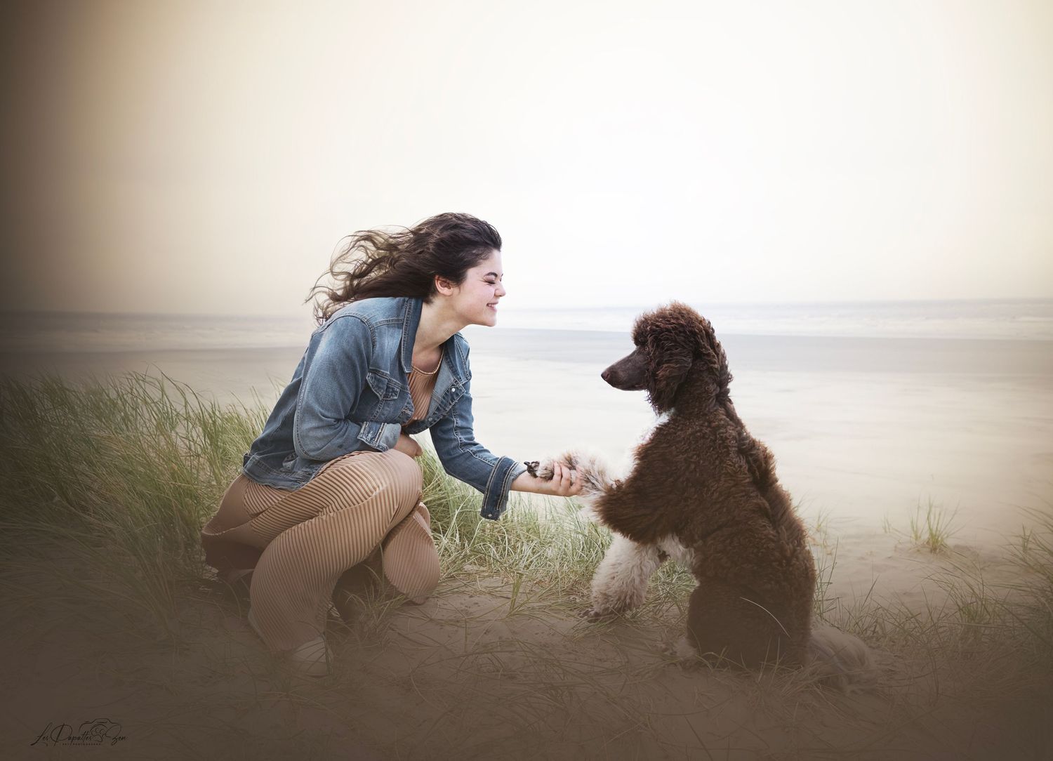 “Séance photo extérieure avec chien – côte belge”