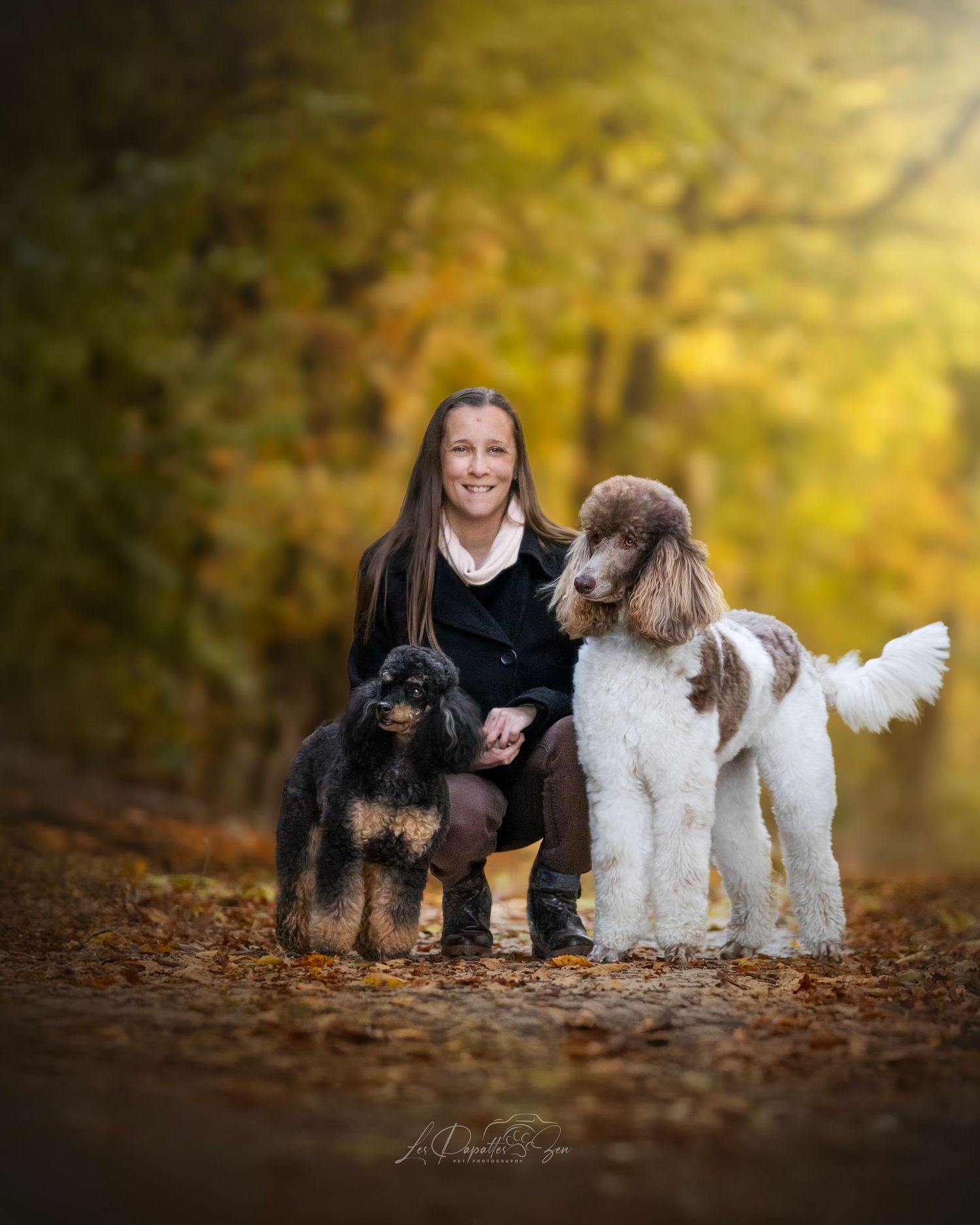 “Séance photo extérieure avec chien caniches royales– côte belge”