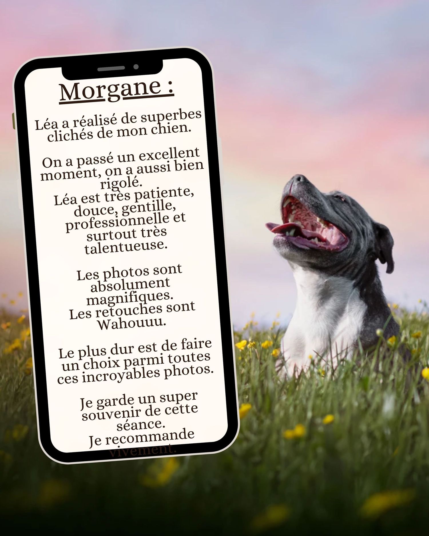 Témoignage client séance photo chien en Belgique – expérience avec photographe animalier