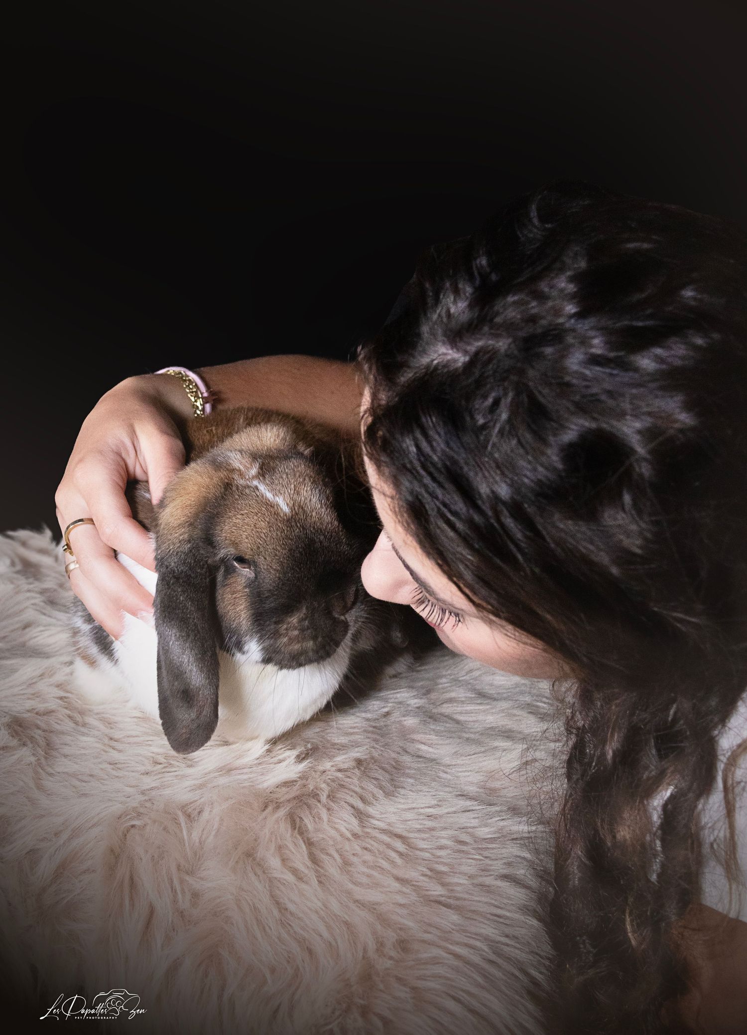 “Portrait de lapin en studio – photographe animalier Belgique”