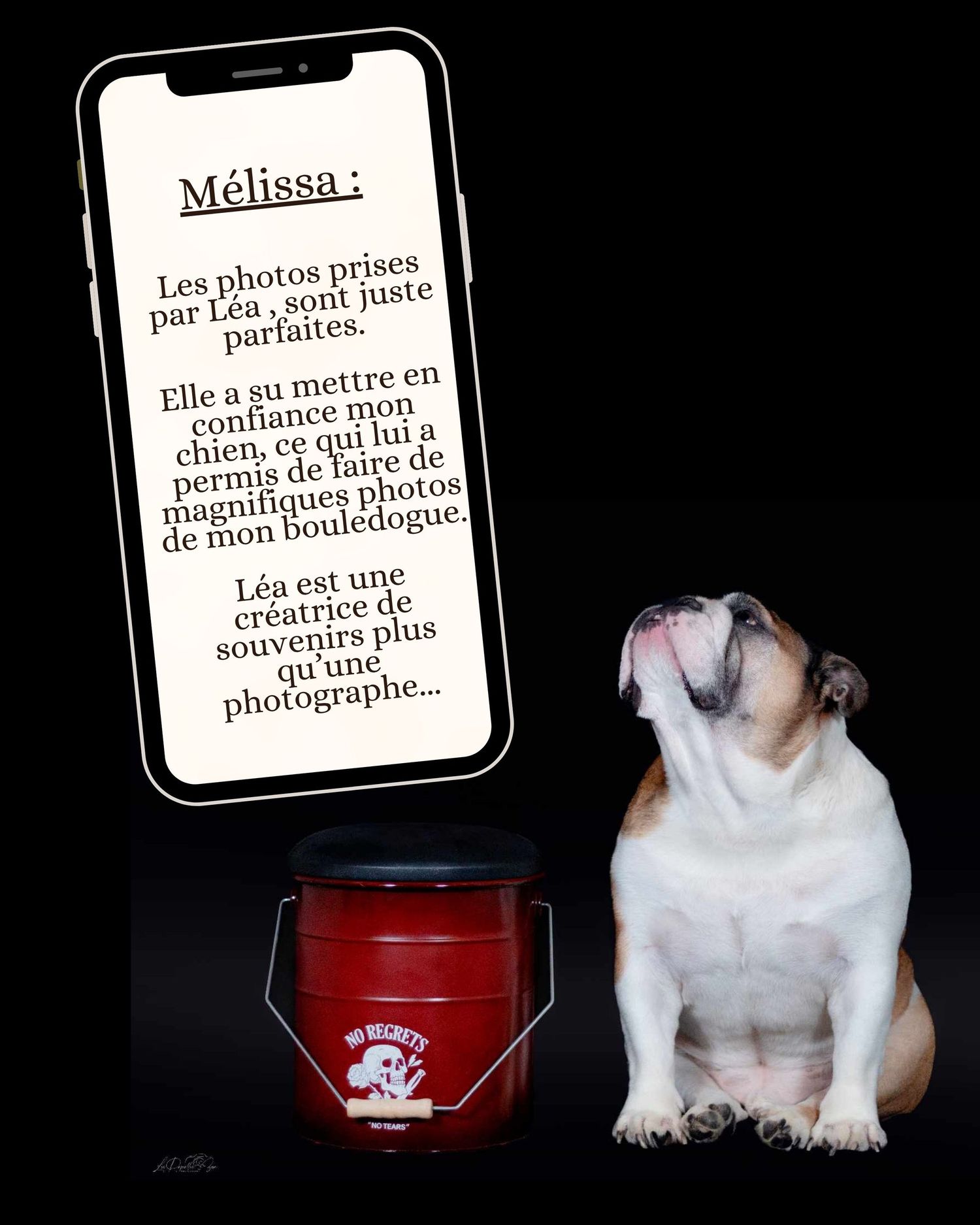 Témoignage client séance photo chien en Belgique – expérience avec photographe animalier