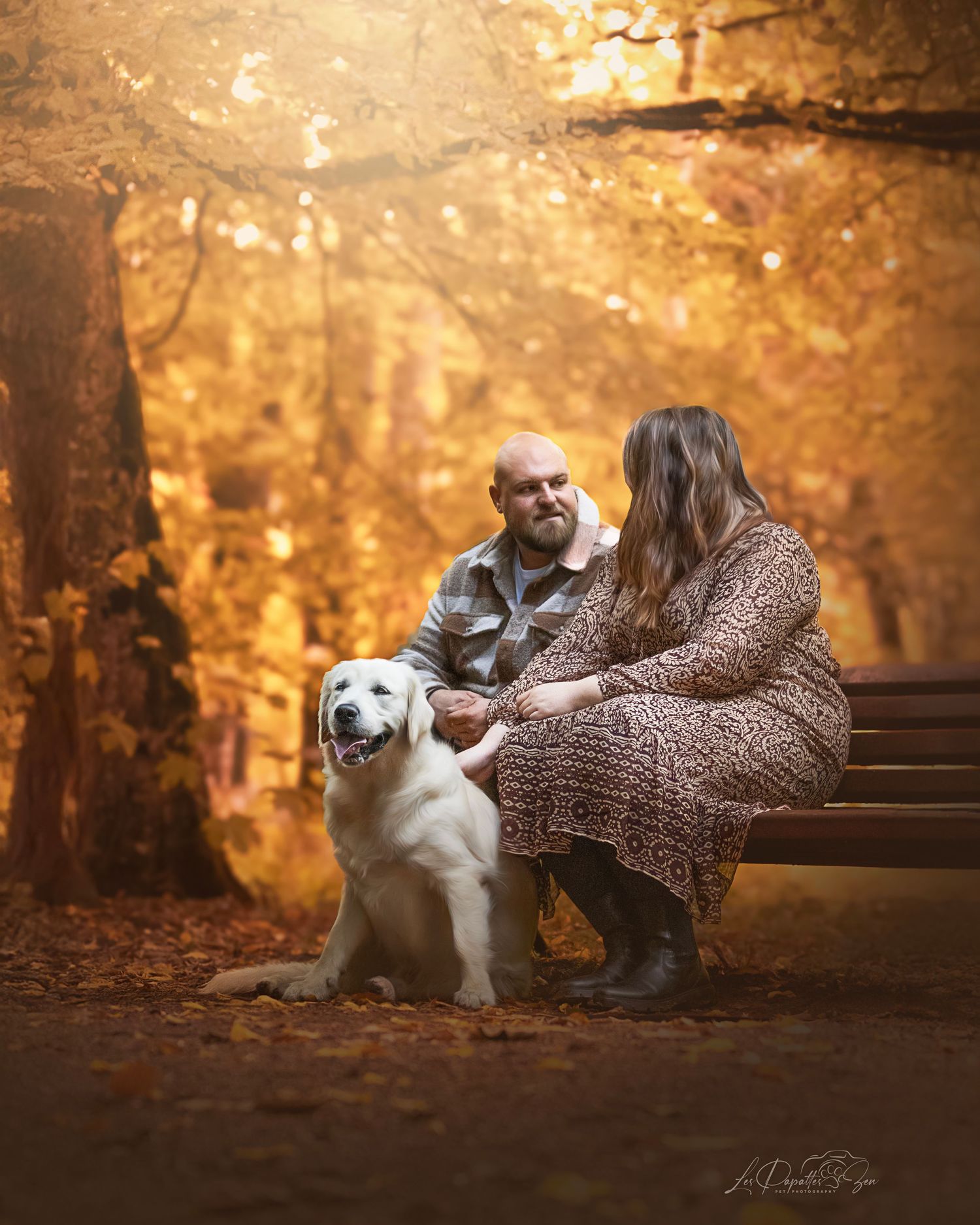 “Séance photo extérieure avec chien golden et couple– côte belge”