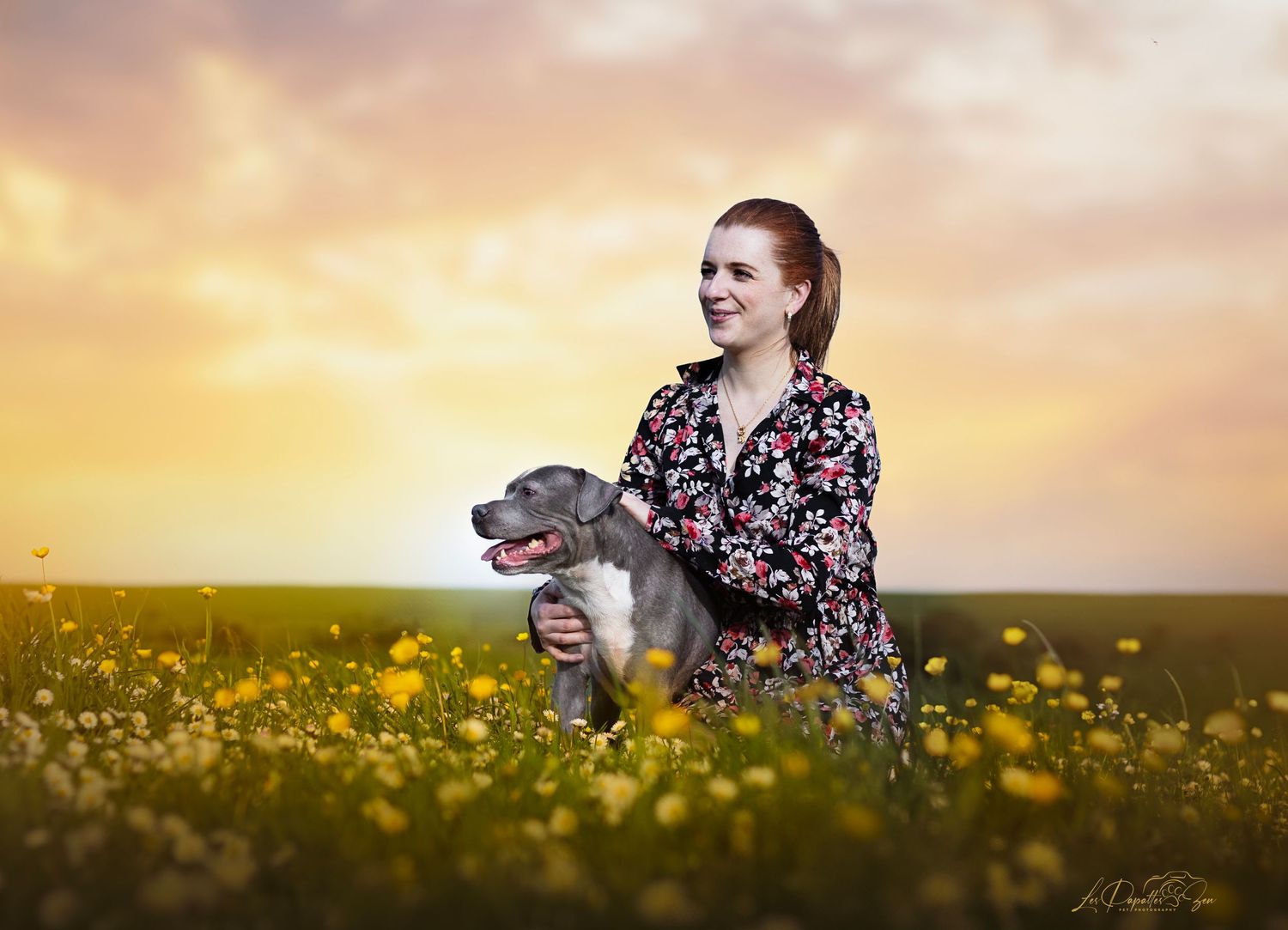 “Séance photo extérieure avec chien – côte belge”
