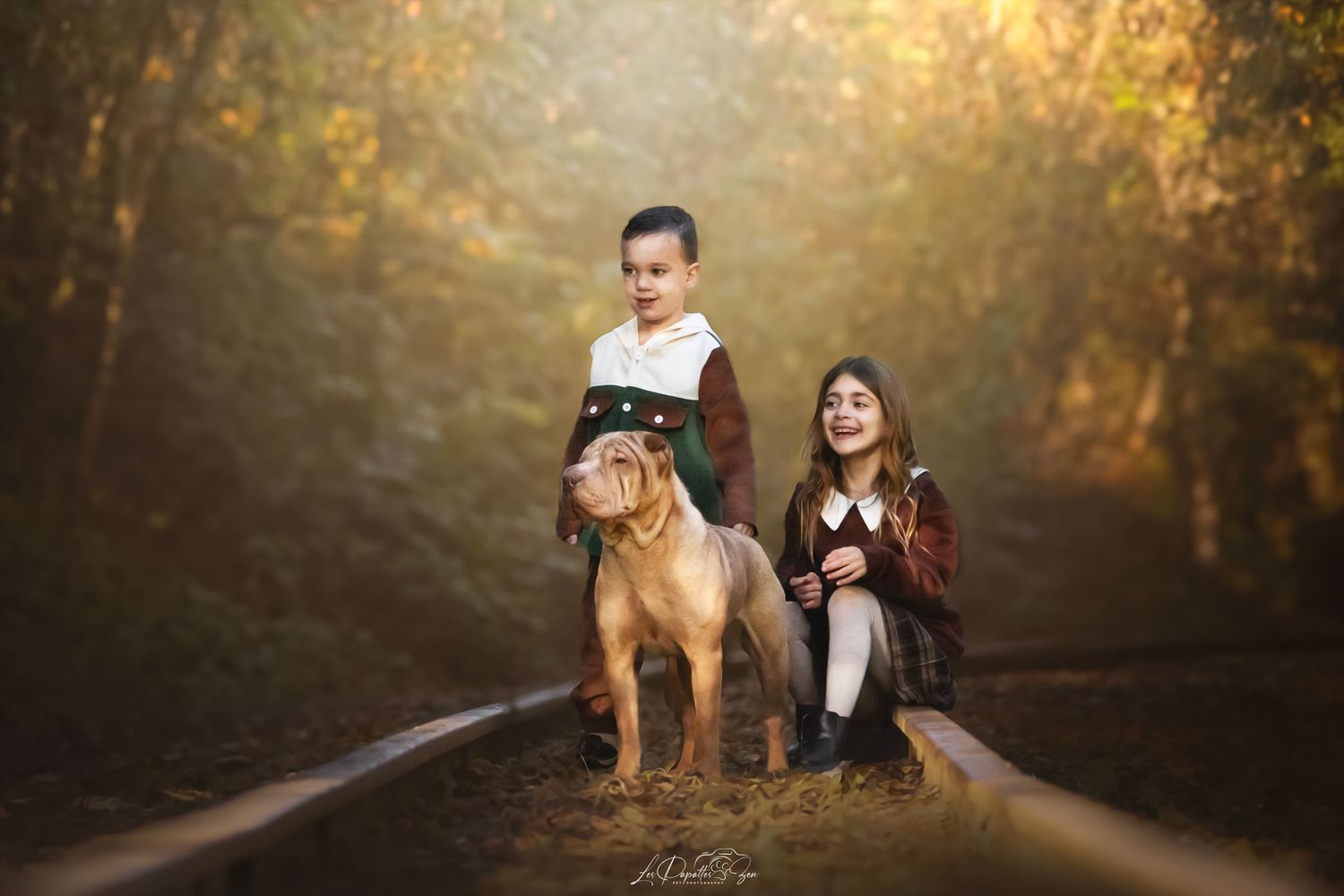 “Séance photo extérieure avec chien sharpei et enfants– côte belge”