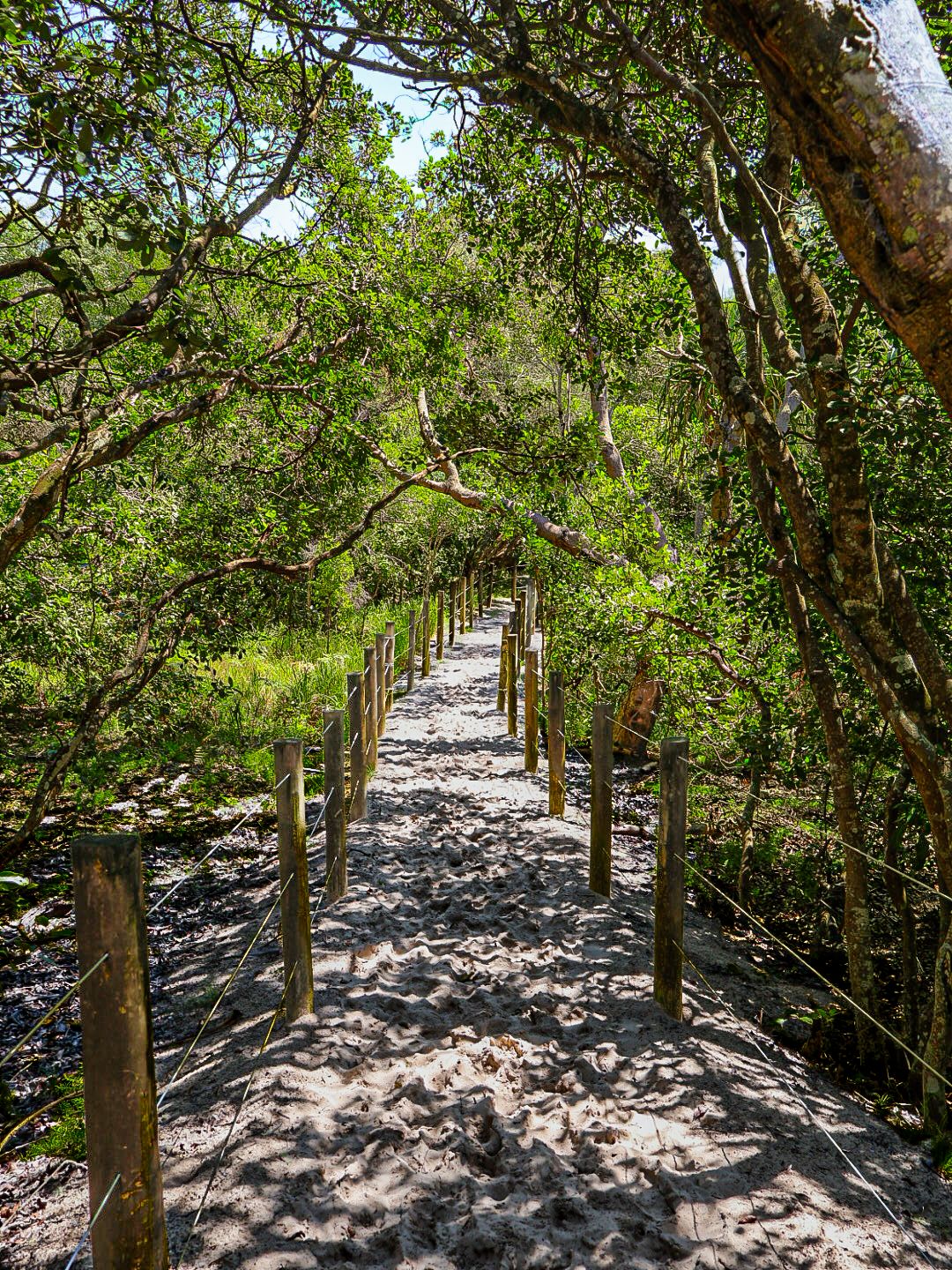 A beach walkway I thought looked nice and peaceful