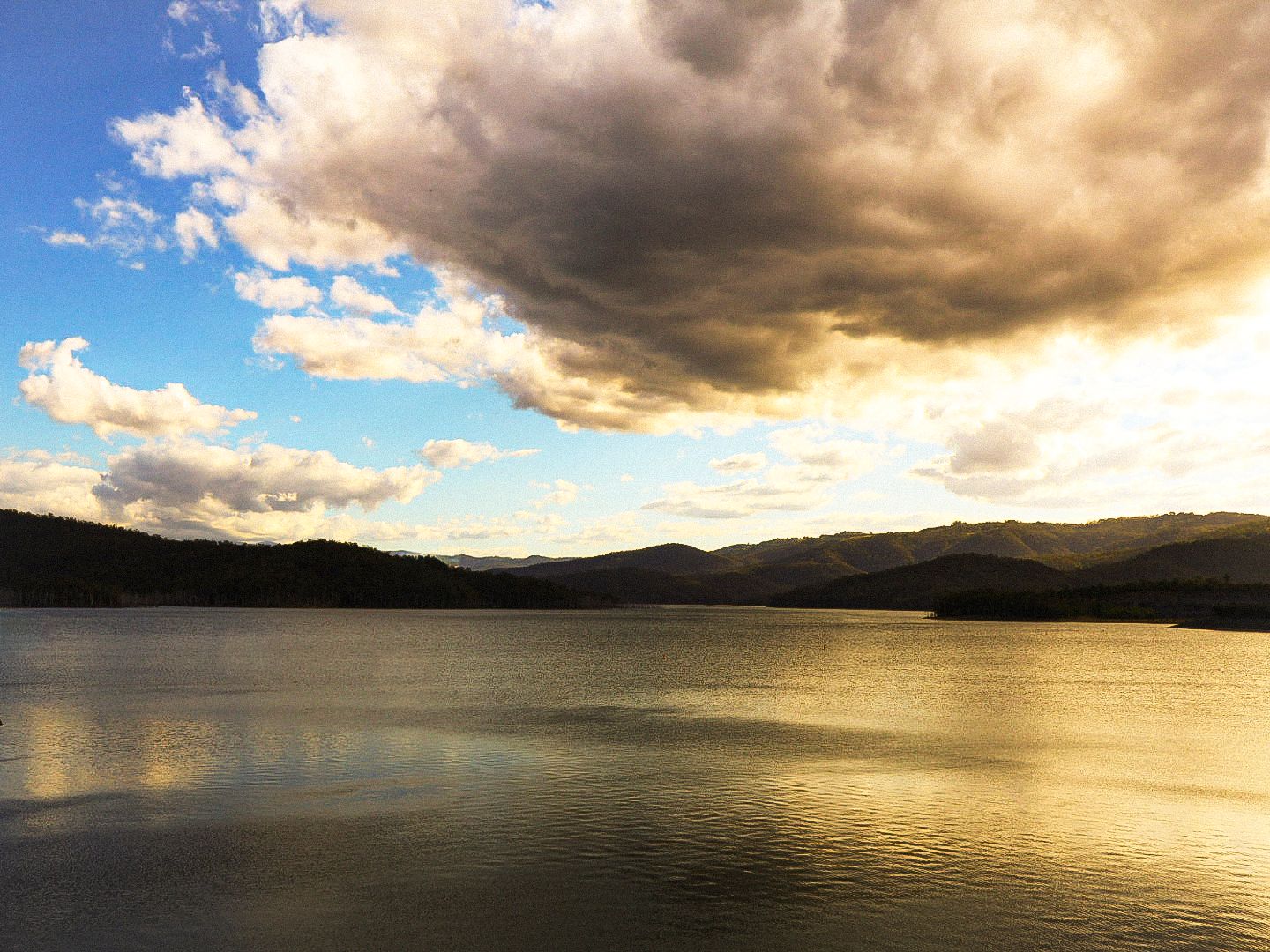 The golden photo i took