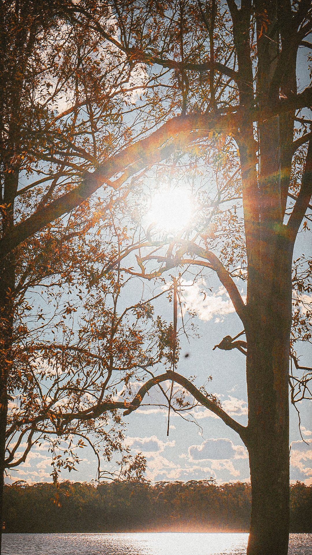 A nice Landscape photo I took