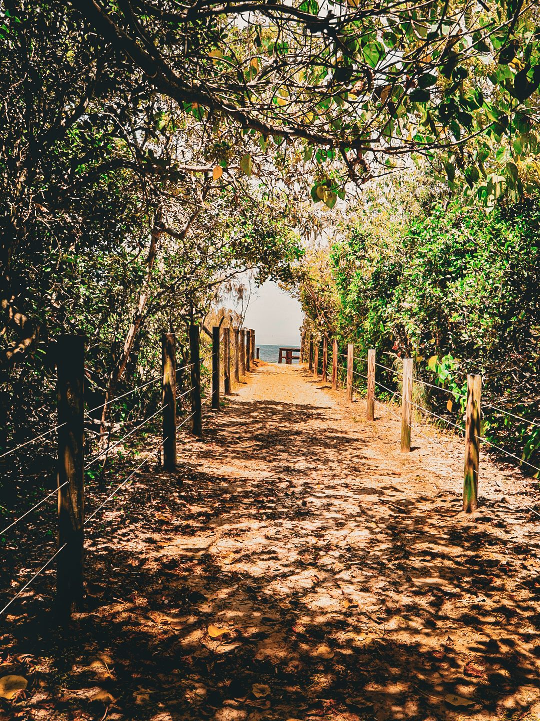 A nice Landscape photo I took