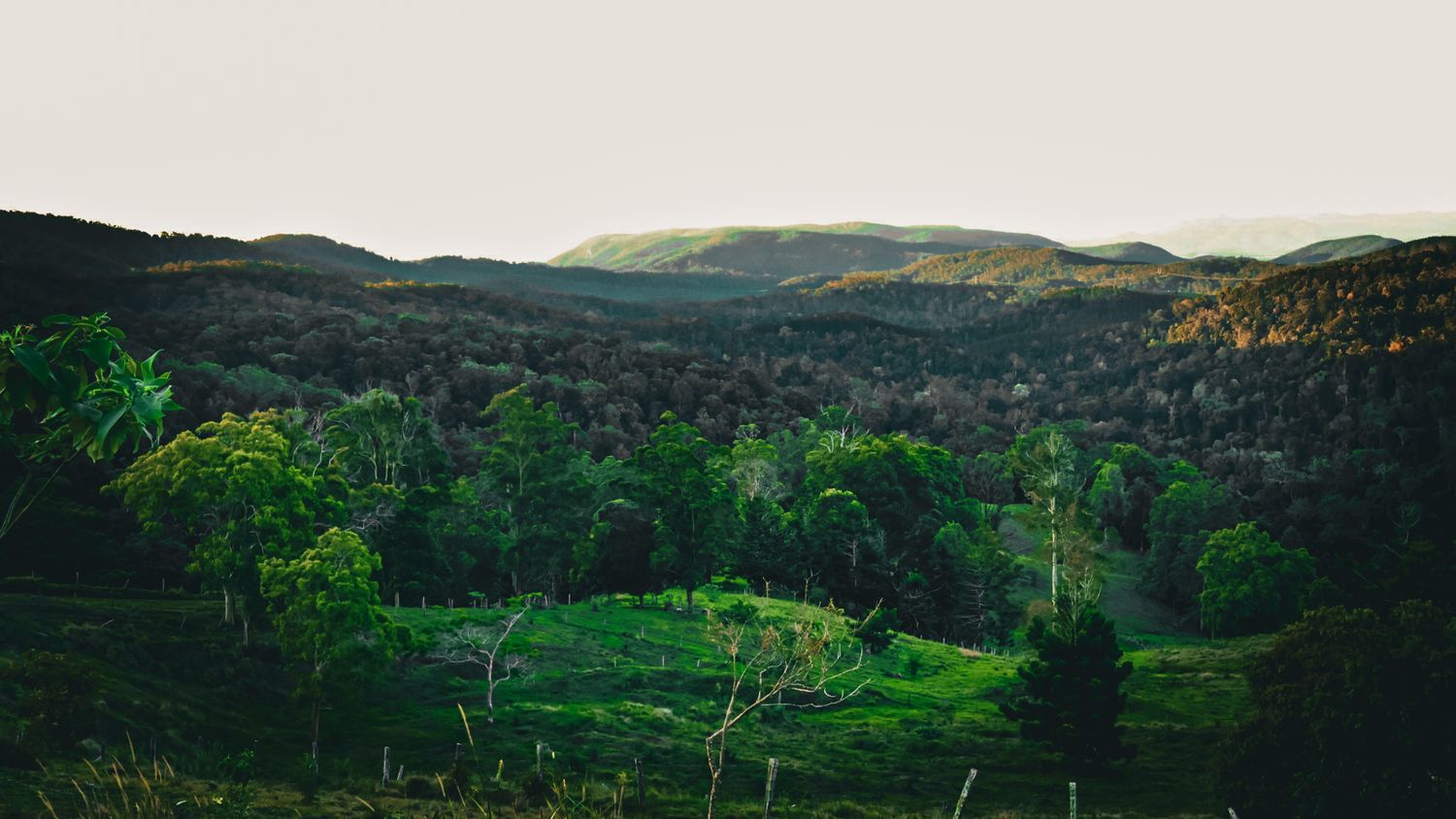 On top of a mountain looks beautiful and peaceful