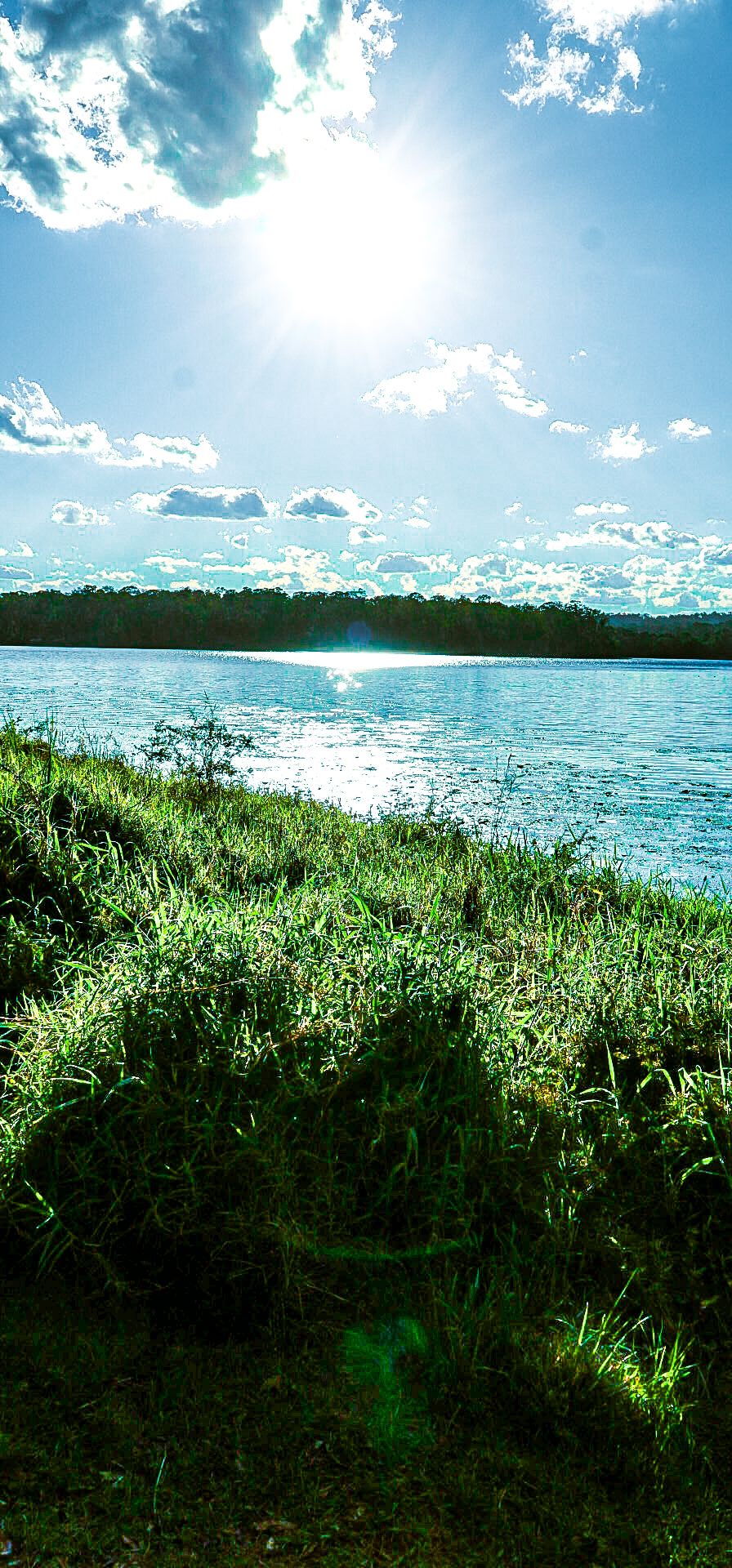 A photo of the sun and grass at a lake