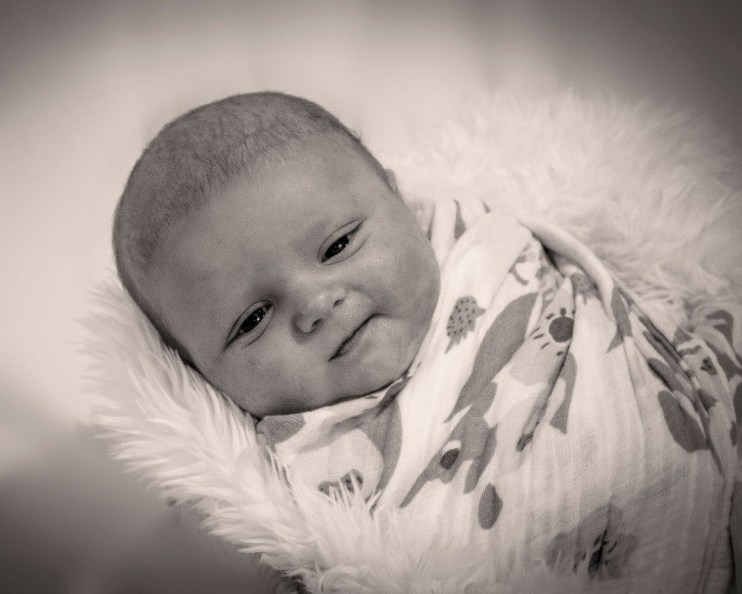 Black and white portrait of infant swaddled in patterned fabric on fluffy white background.