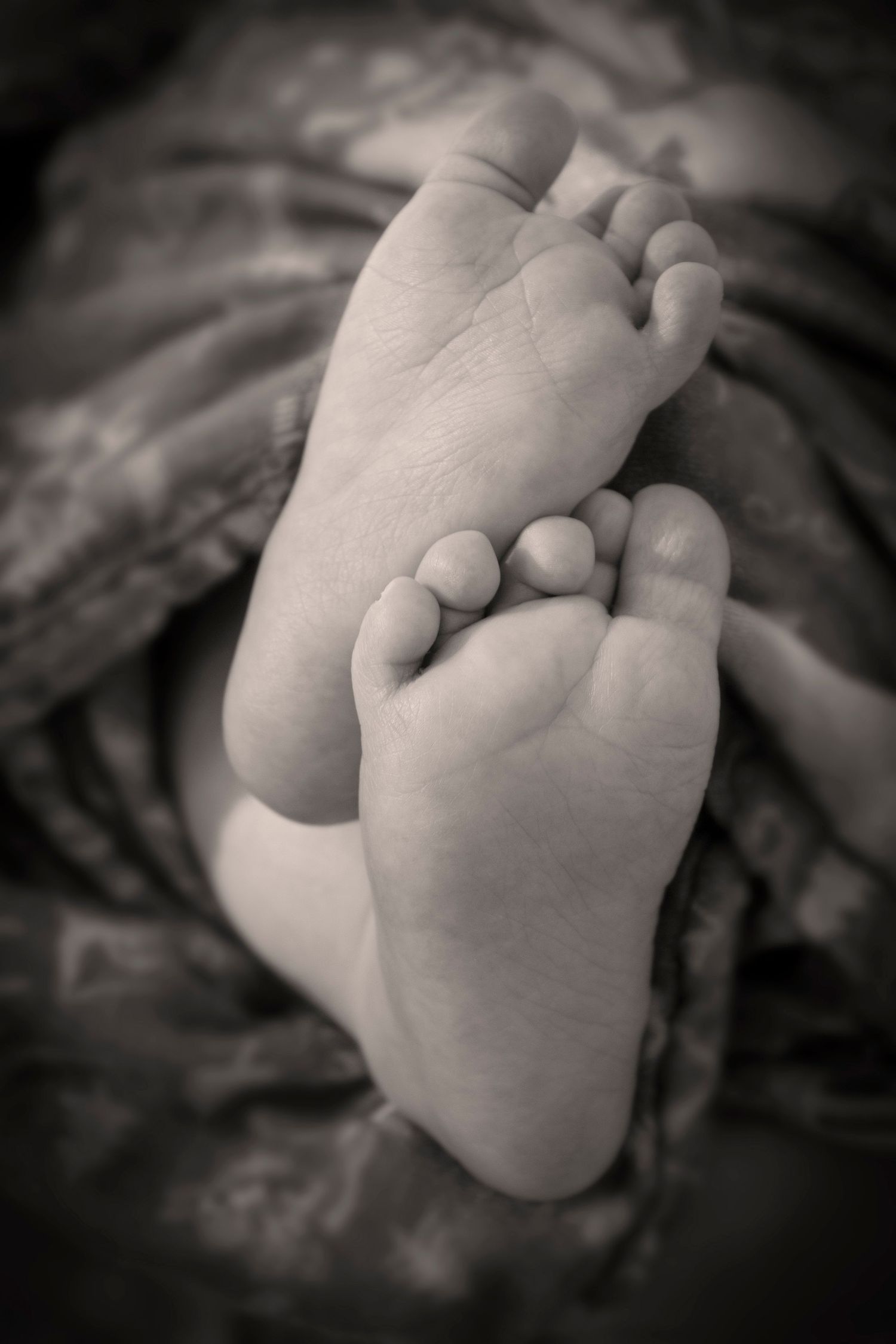 Close-up black and white images of tiny infant hands grasping in sequence.