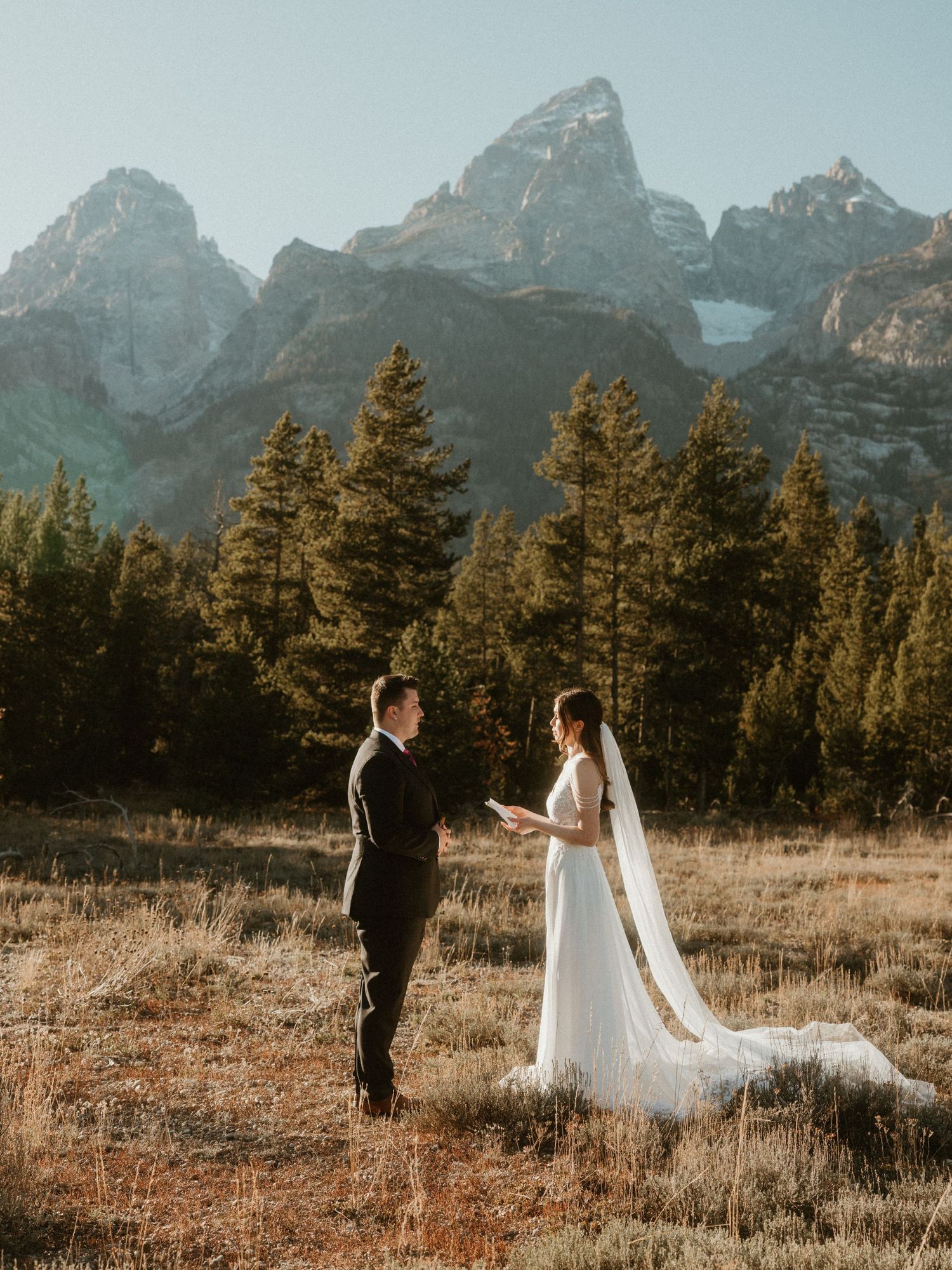 Couple in wedding attire poses in mountain meadow with evergreen forest.